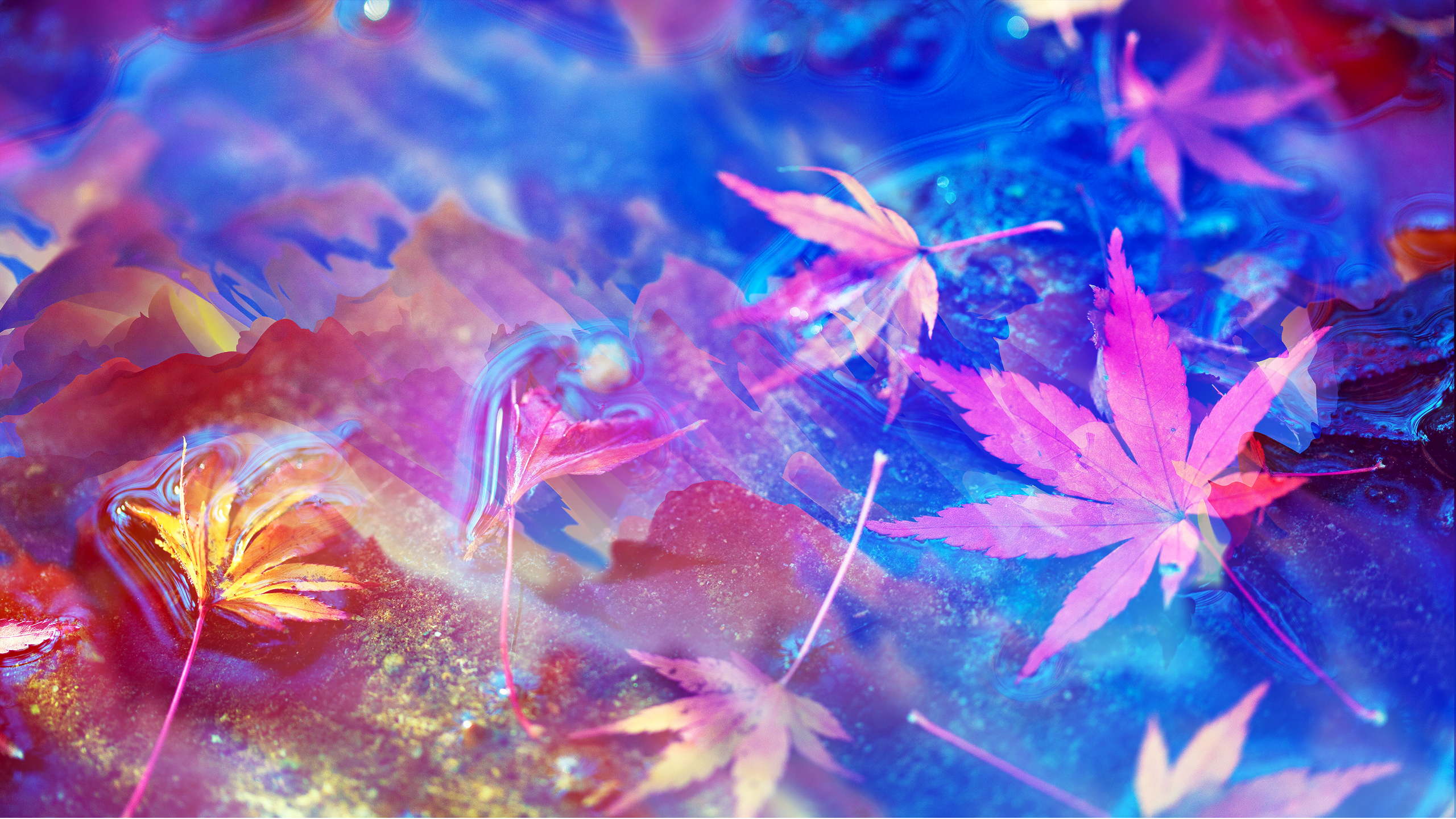 Abstract colorful leaves on water with light effects HD Wallpaper
