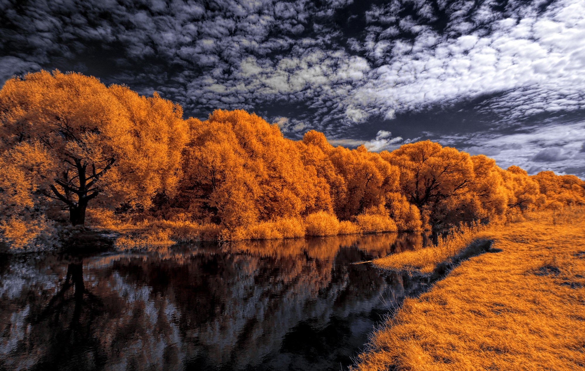 Orange trees reflected in a dark river under a cloudy sky HD Wallpaper