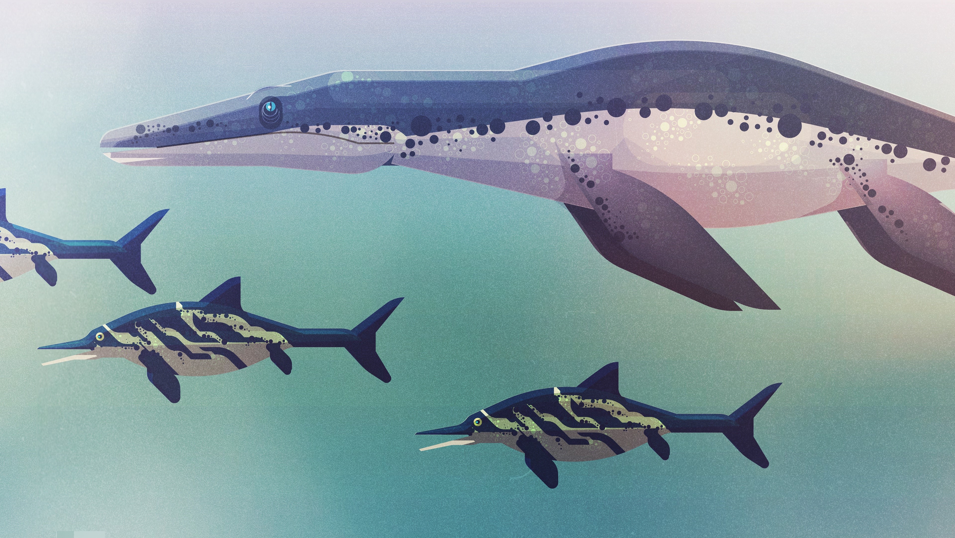 4K illustration of marine reptiles and fish HD Wallpaper