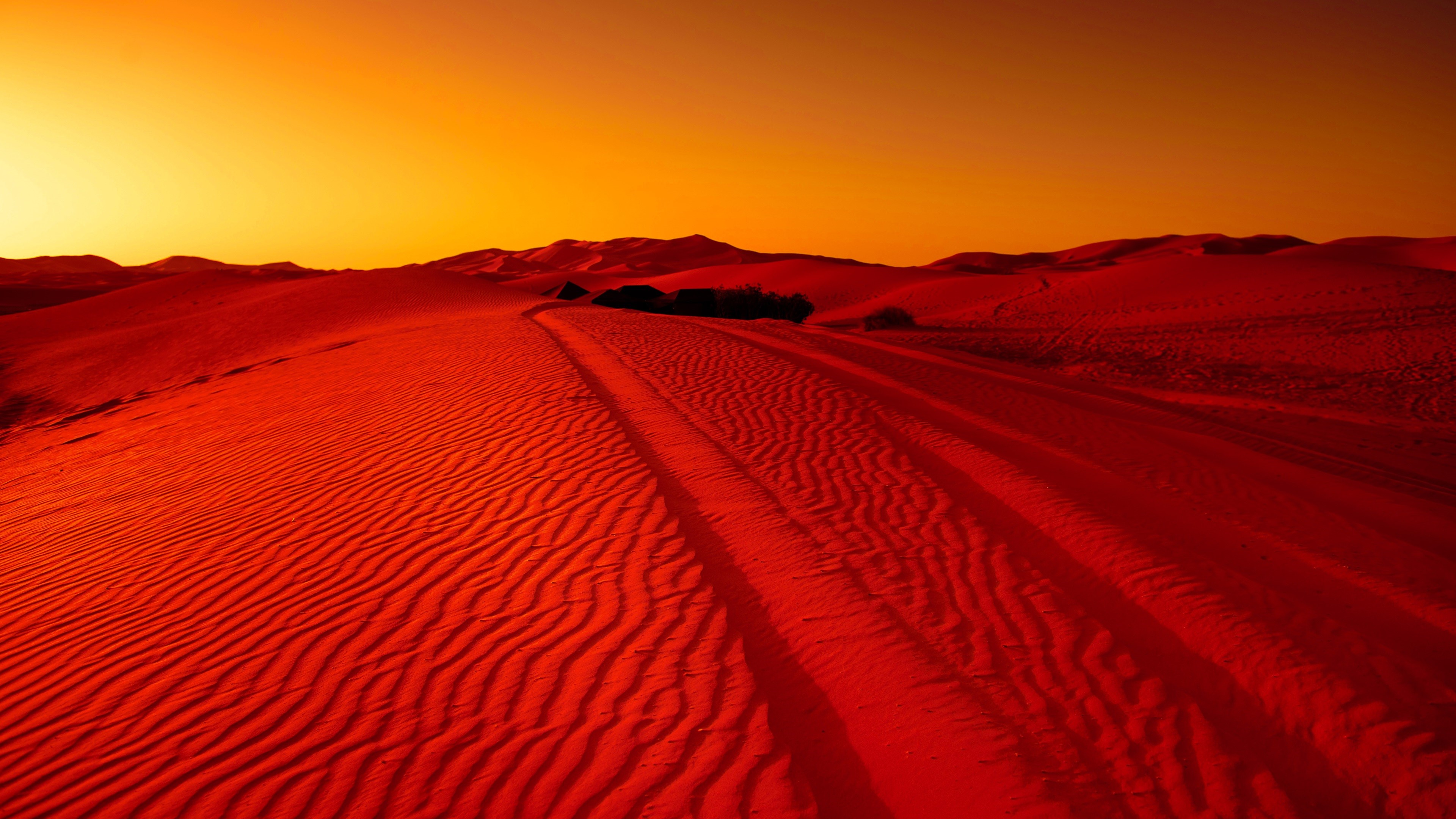 Red desert dunes with tire tracks at sunset HD Wallpaper