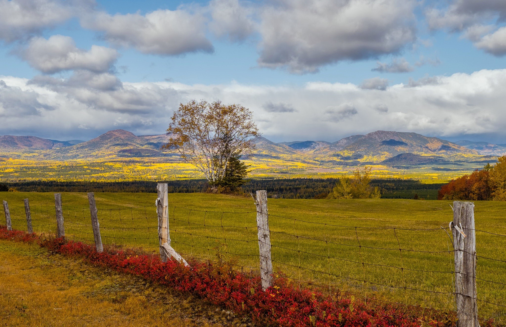 Autumn landscape with fence and mountains HD Wallpaper