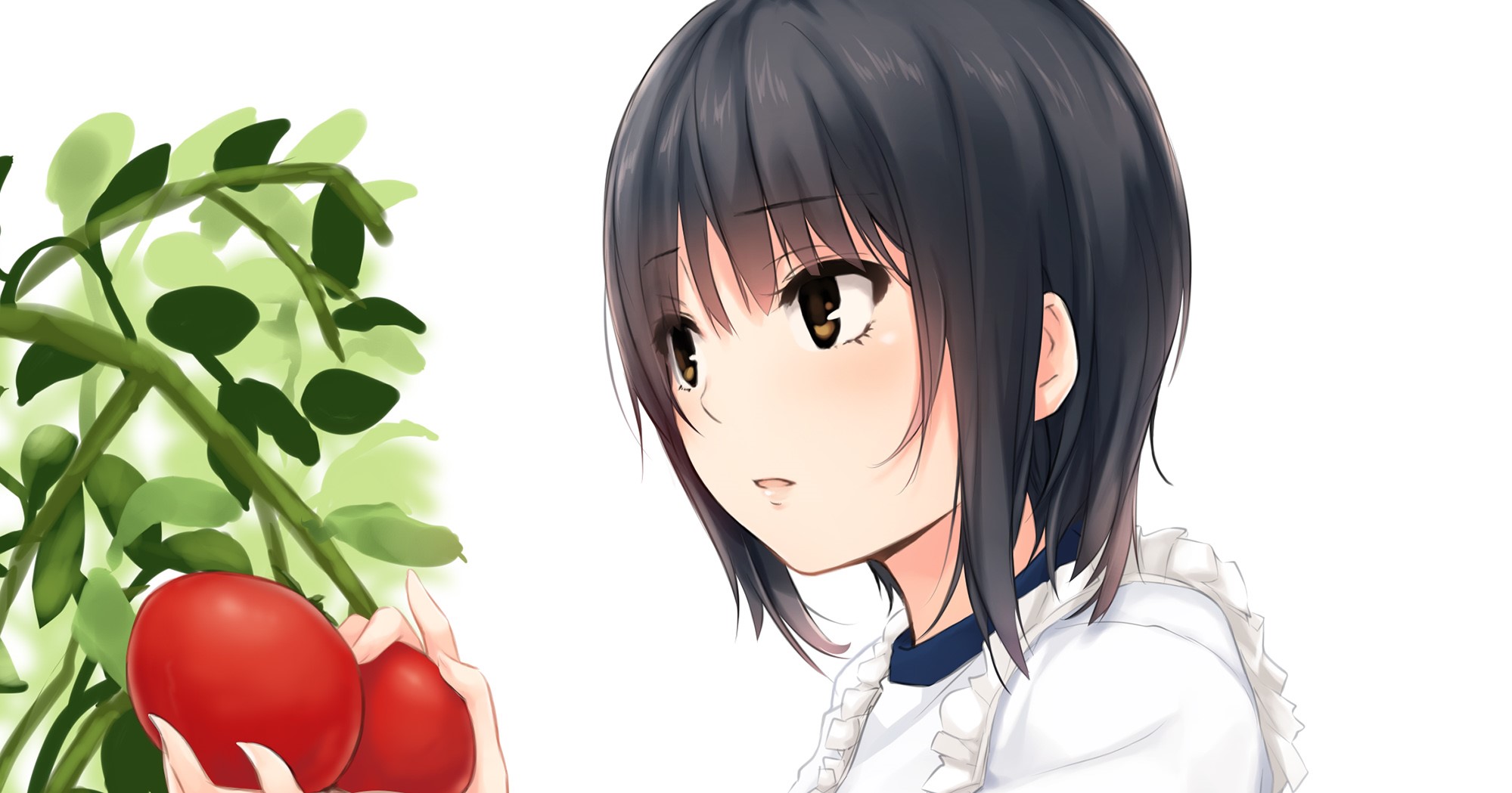 Anime girl picking tomatoes HD Wallpaper