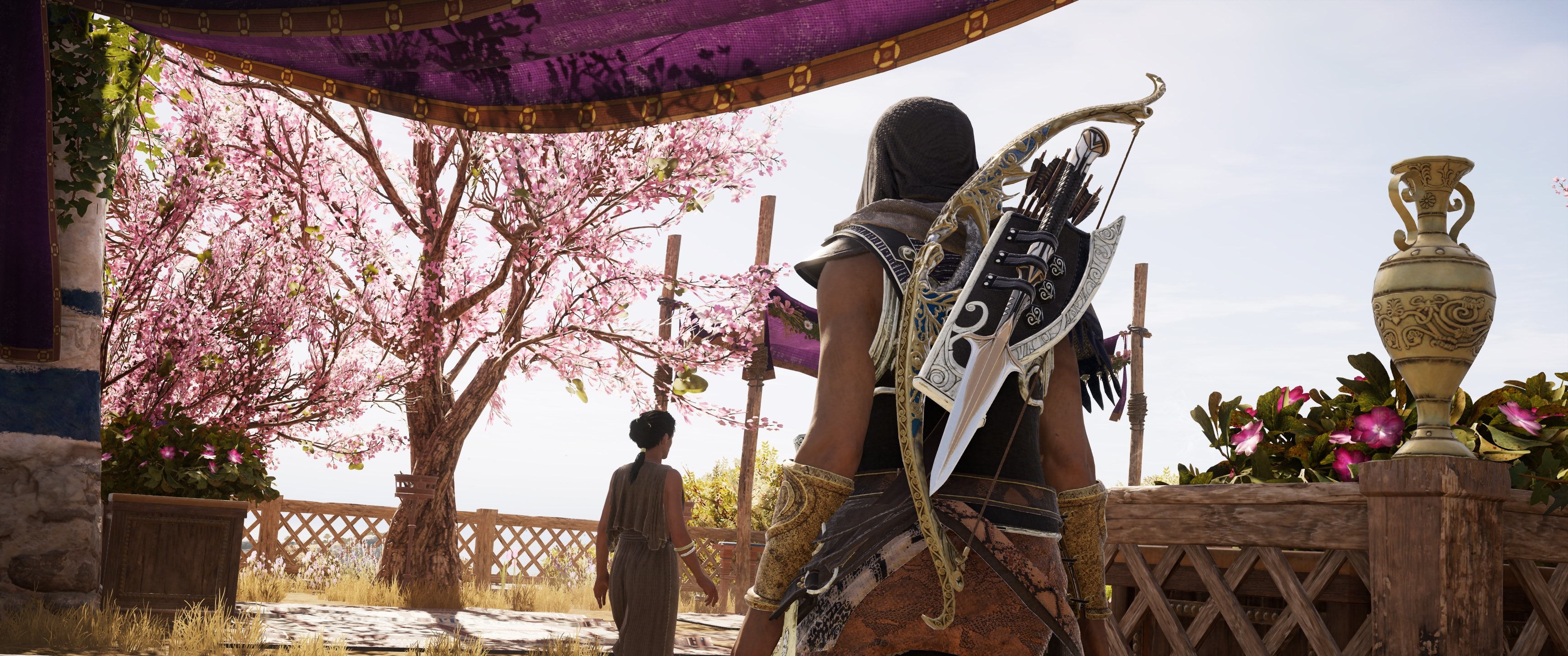 Assassin from Assassin's Creed with bow and arrows HD Wallpaper