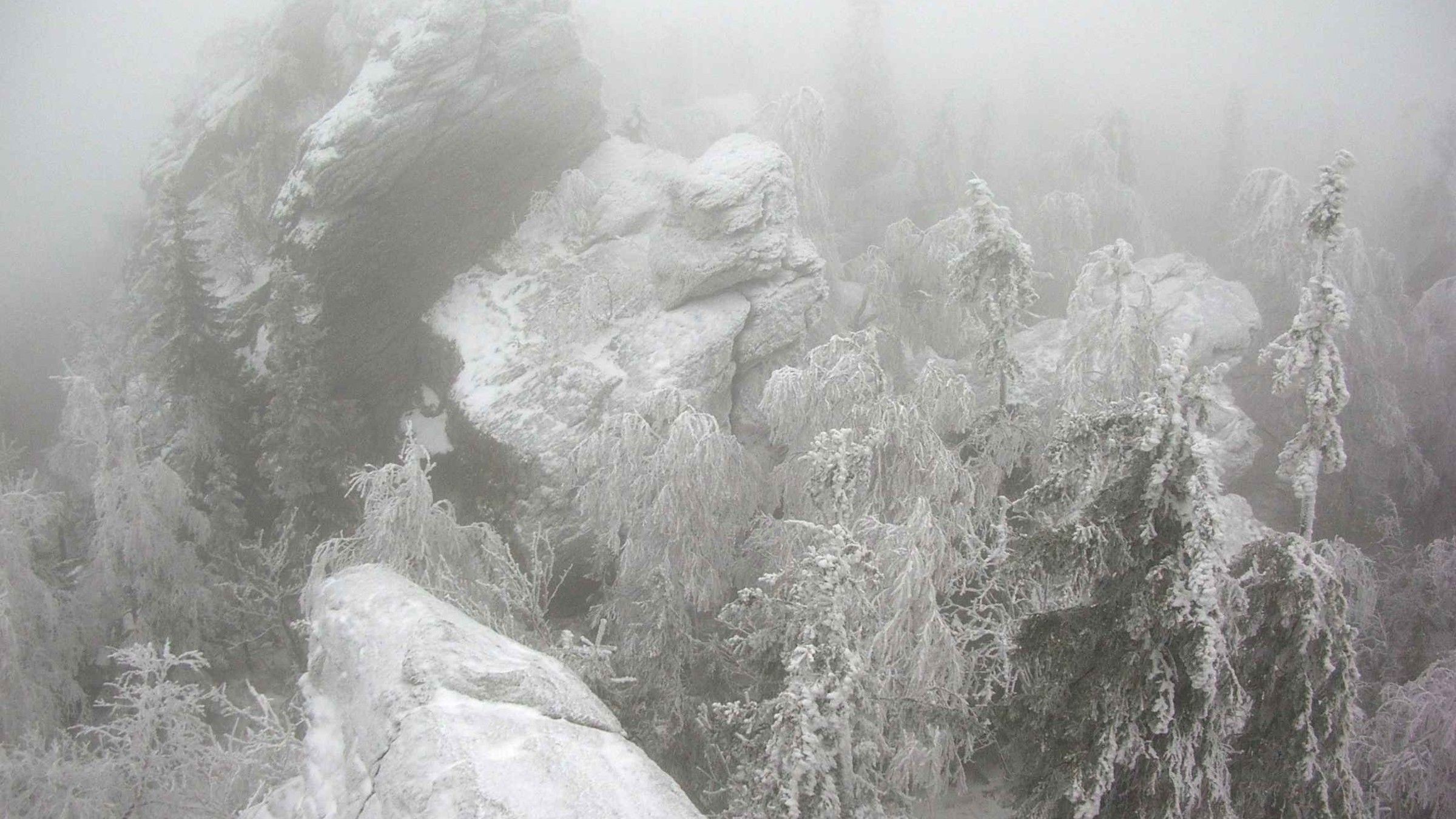 Snow-covered rocks and trees in a misty winter forest HD Wallpaper