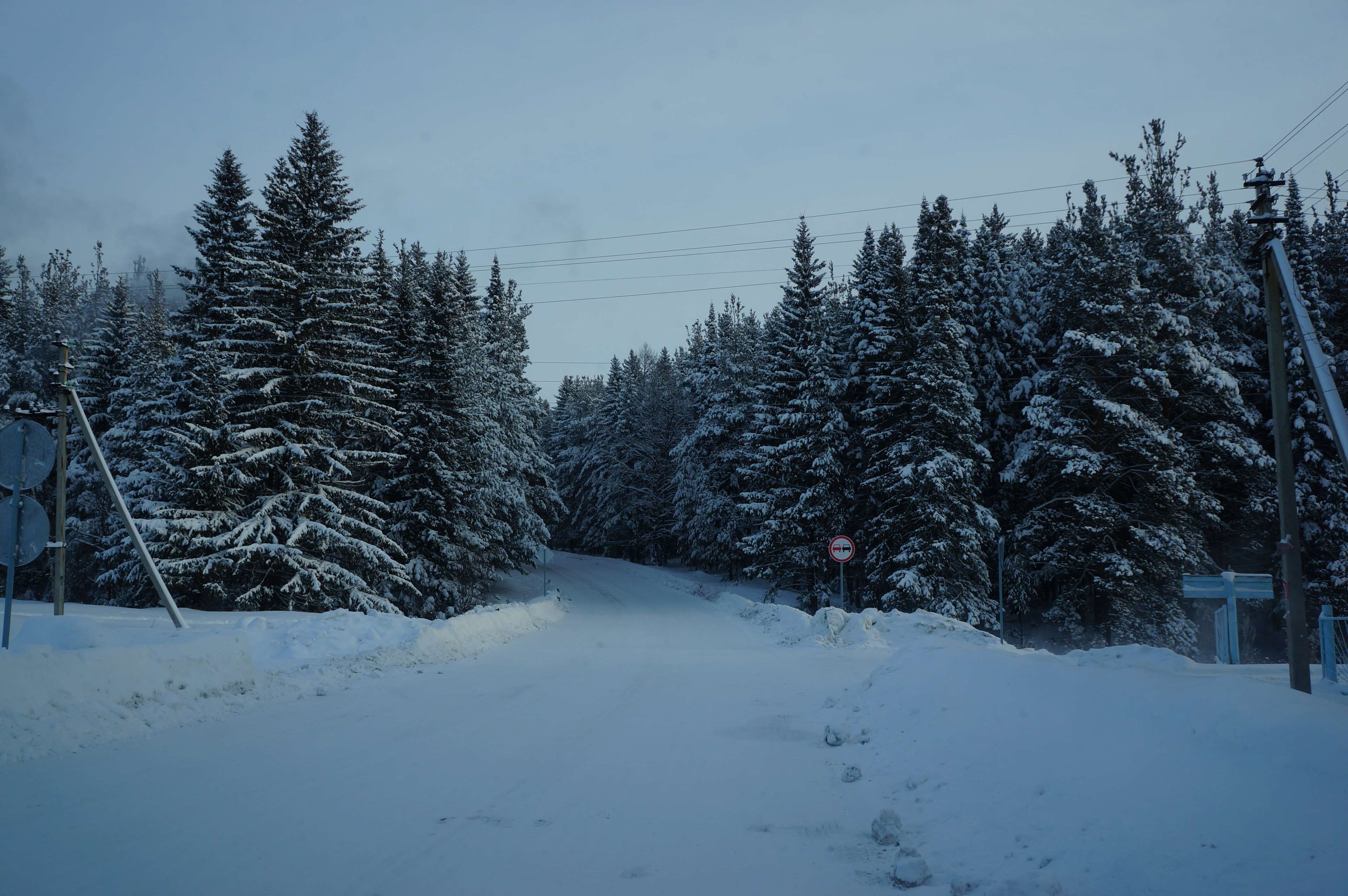 Winter forest road in Russia HD Wallpaper