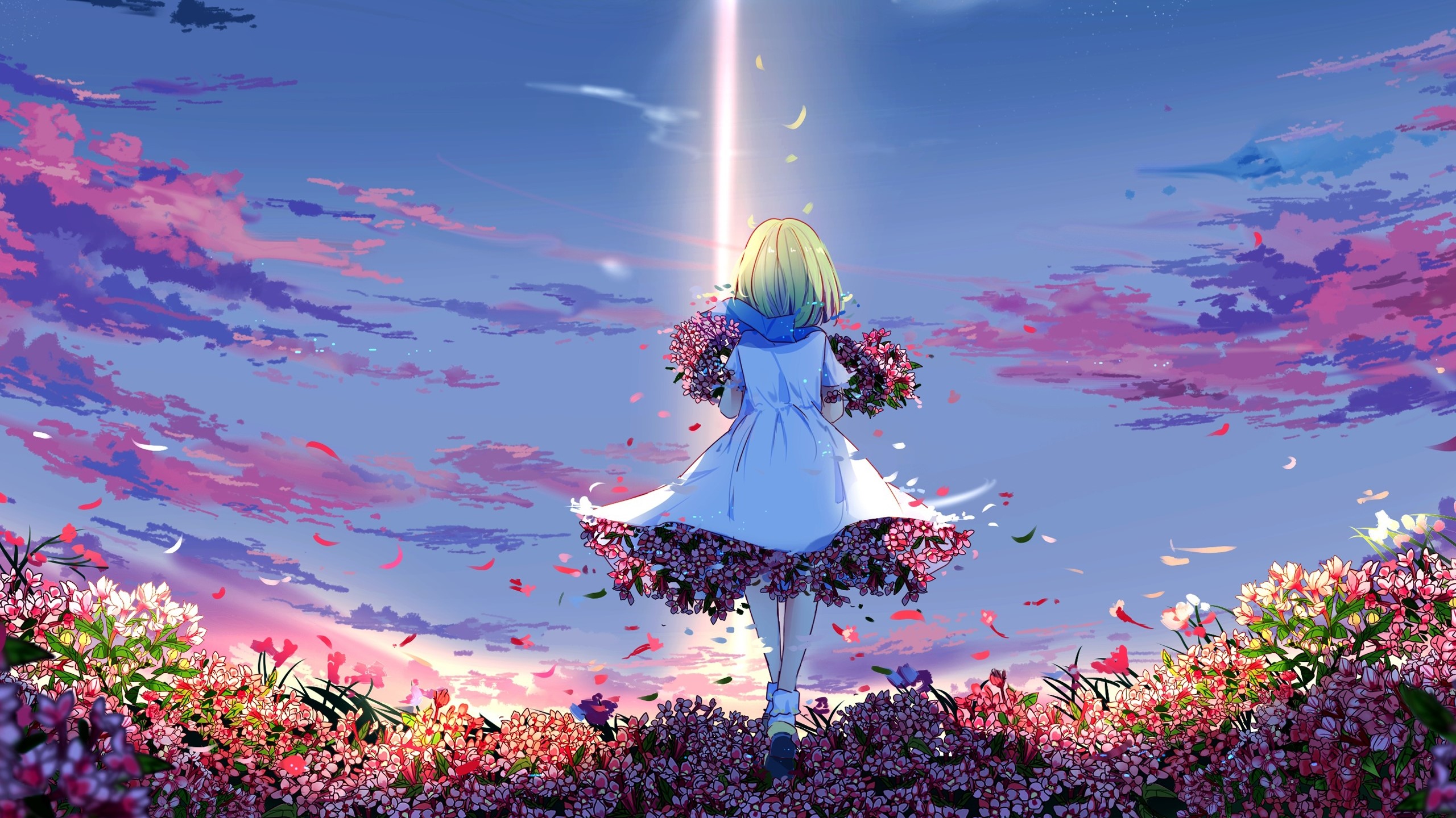 Anime girl with flowers in a field at sunset HD Wallpaper