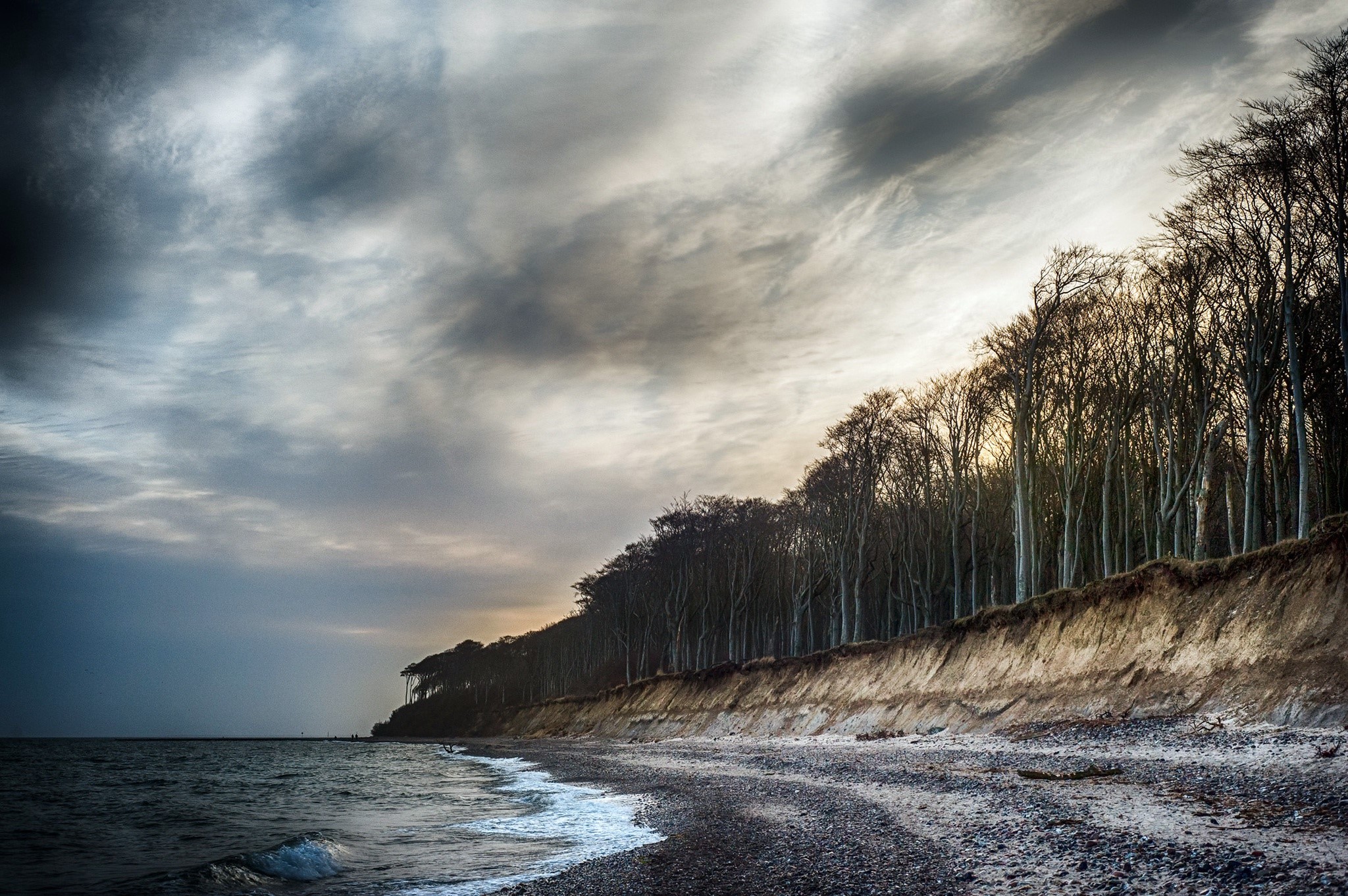 Beach with trees and stormy sky HD Wallpaper