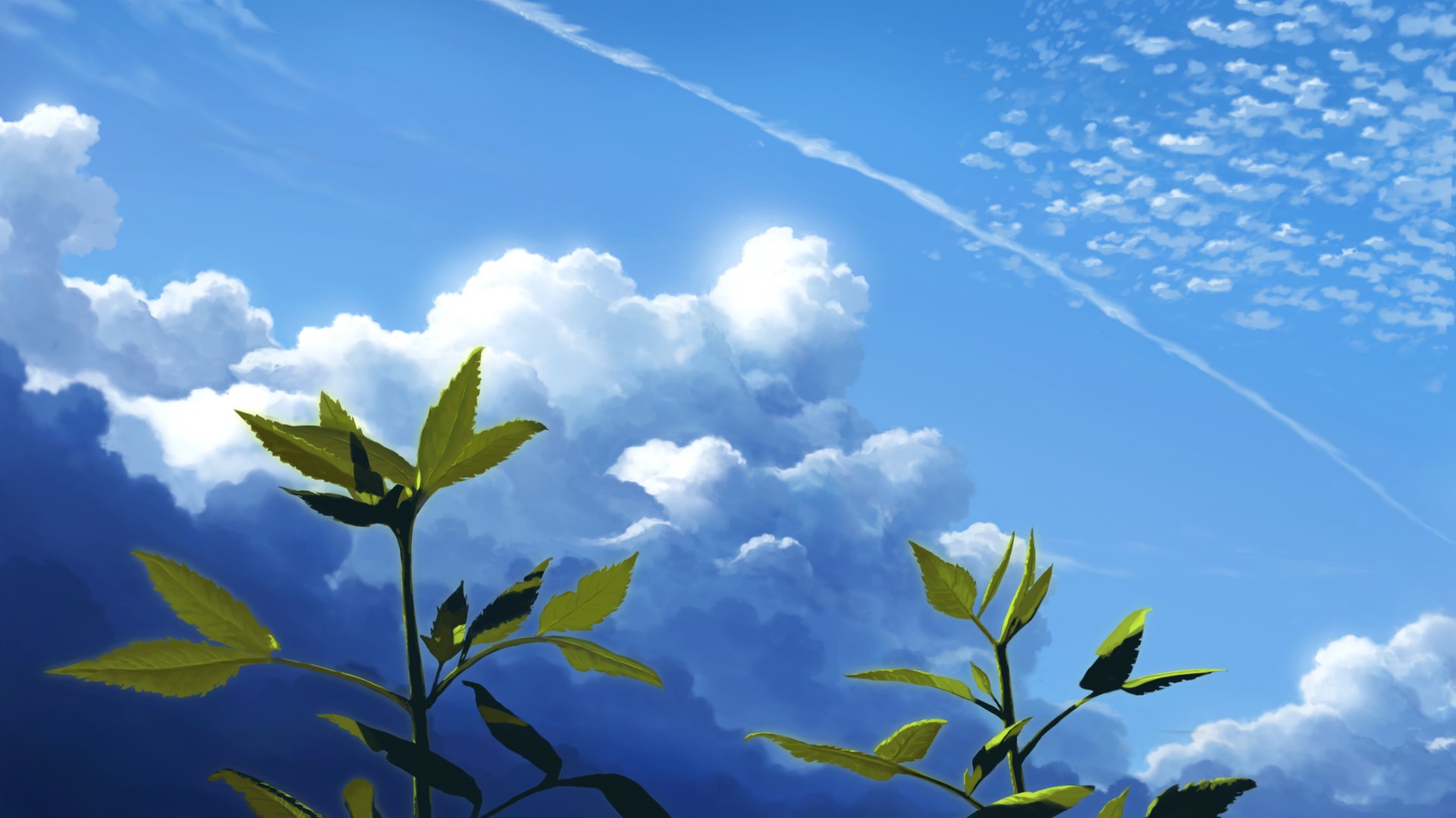Anime landscape with clouds and plants HD Wallpaper