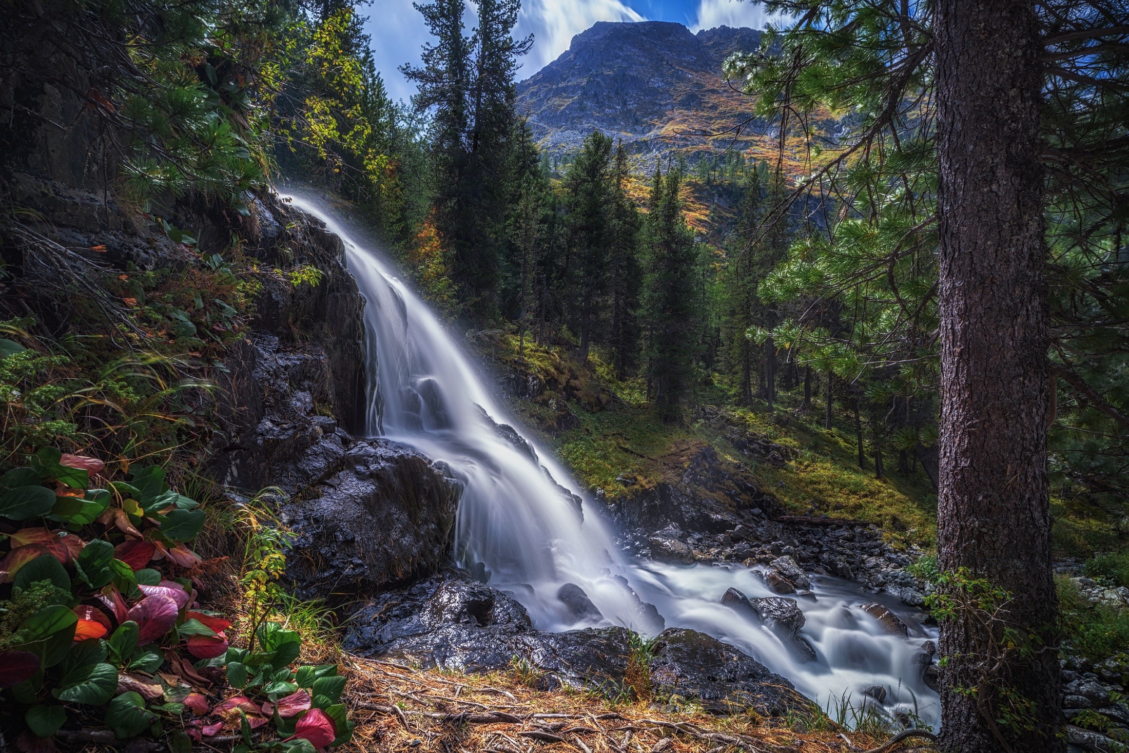Waterfall flowing through a forest with a mountain in the background HD Wallpaper