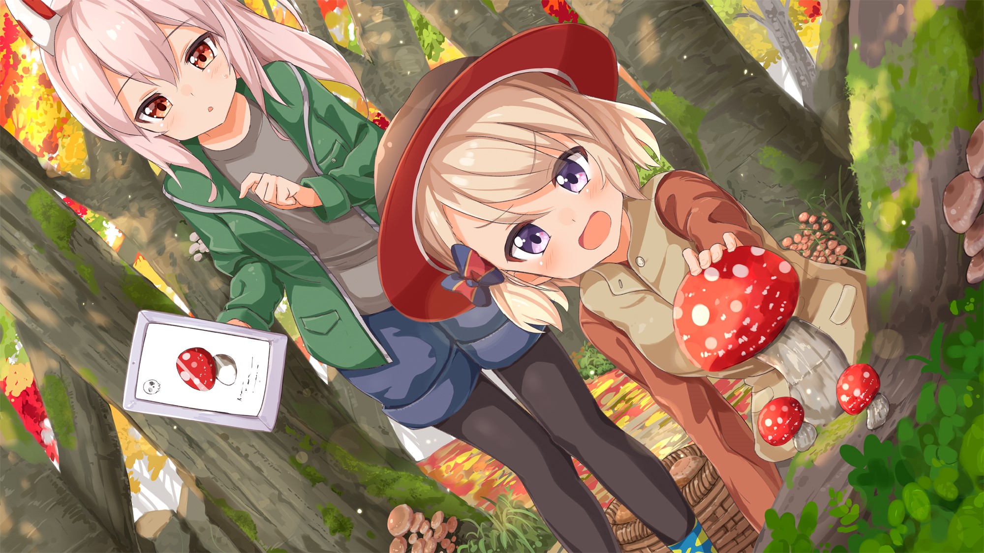 Anime girls in a forest with mushrooms HD Wallpaper