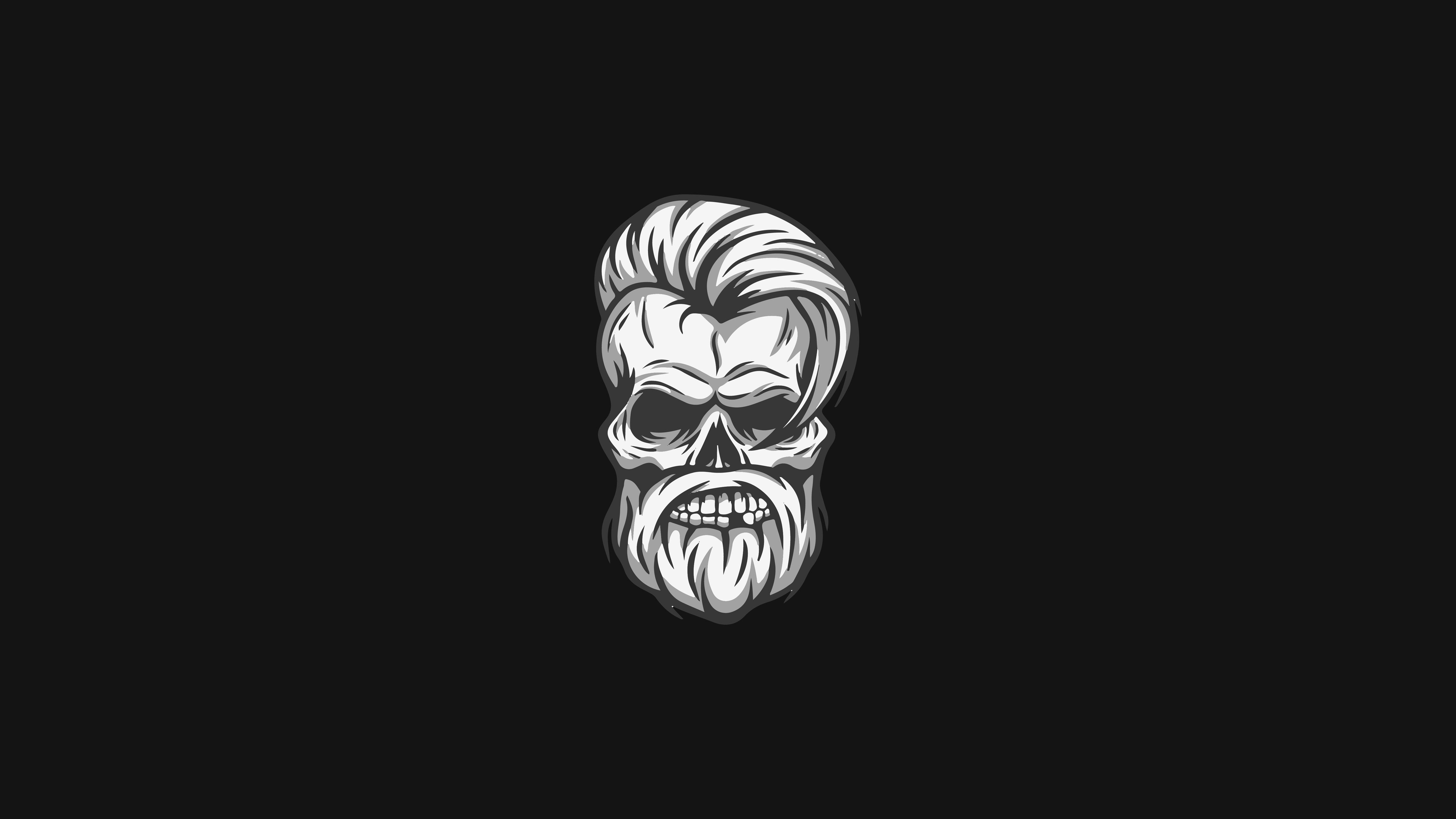 Minimalist skull with beard and hairstyle HD Wallpaper