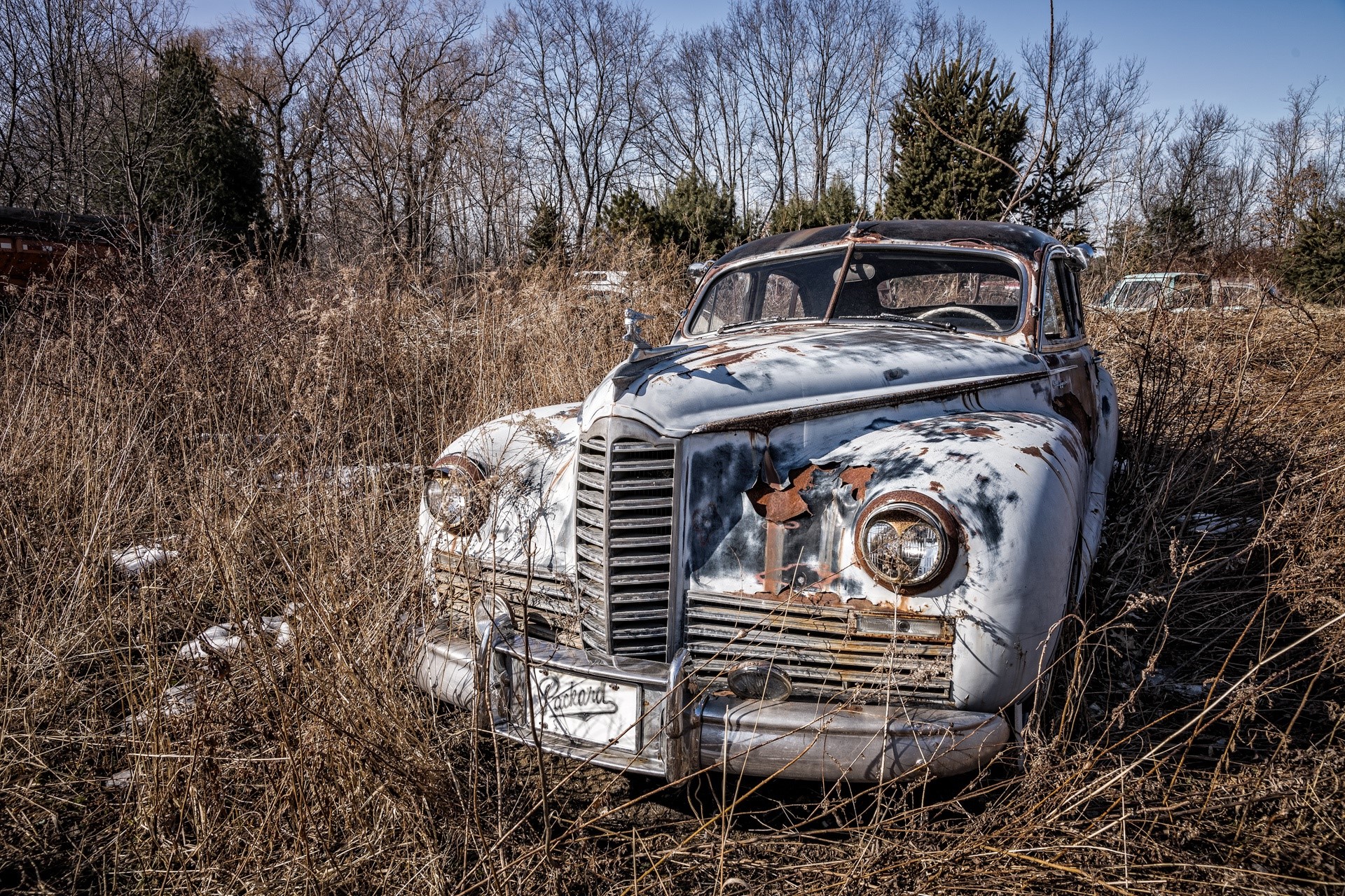 Abandoned Packard car in tall dry grass HD Wallpaper