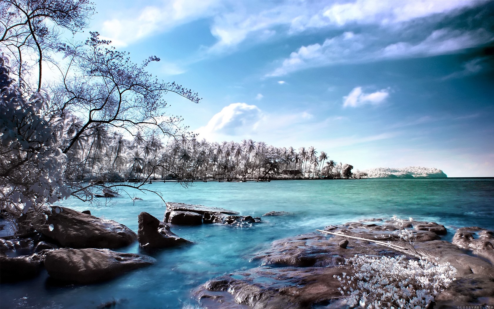Tropical island with palm trees and ocean HD Wallpaper