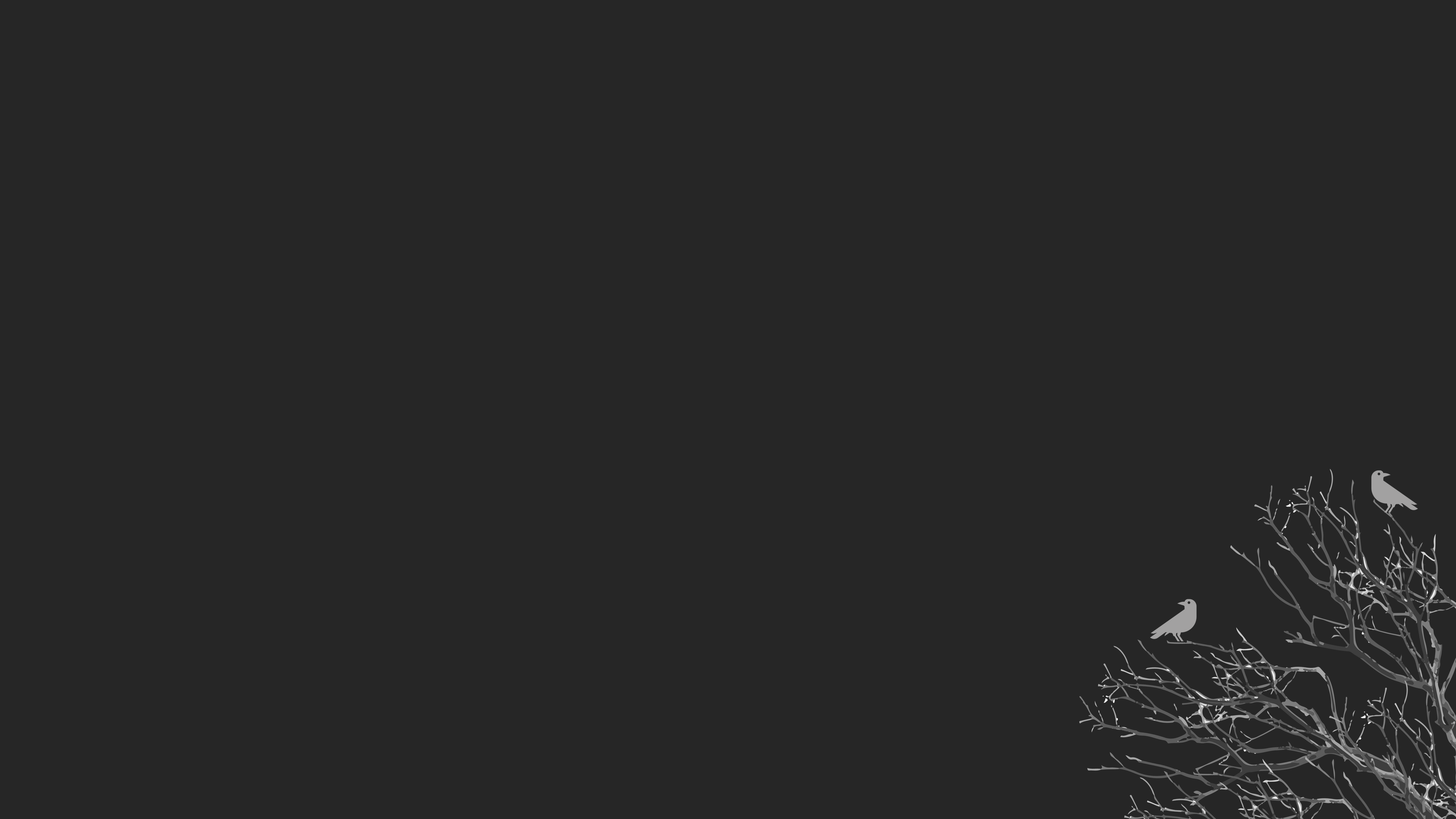 Minimalist vector art of two birds on a tree branch HD Wallpaper