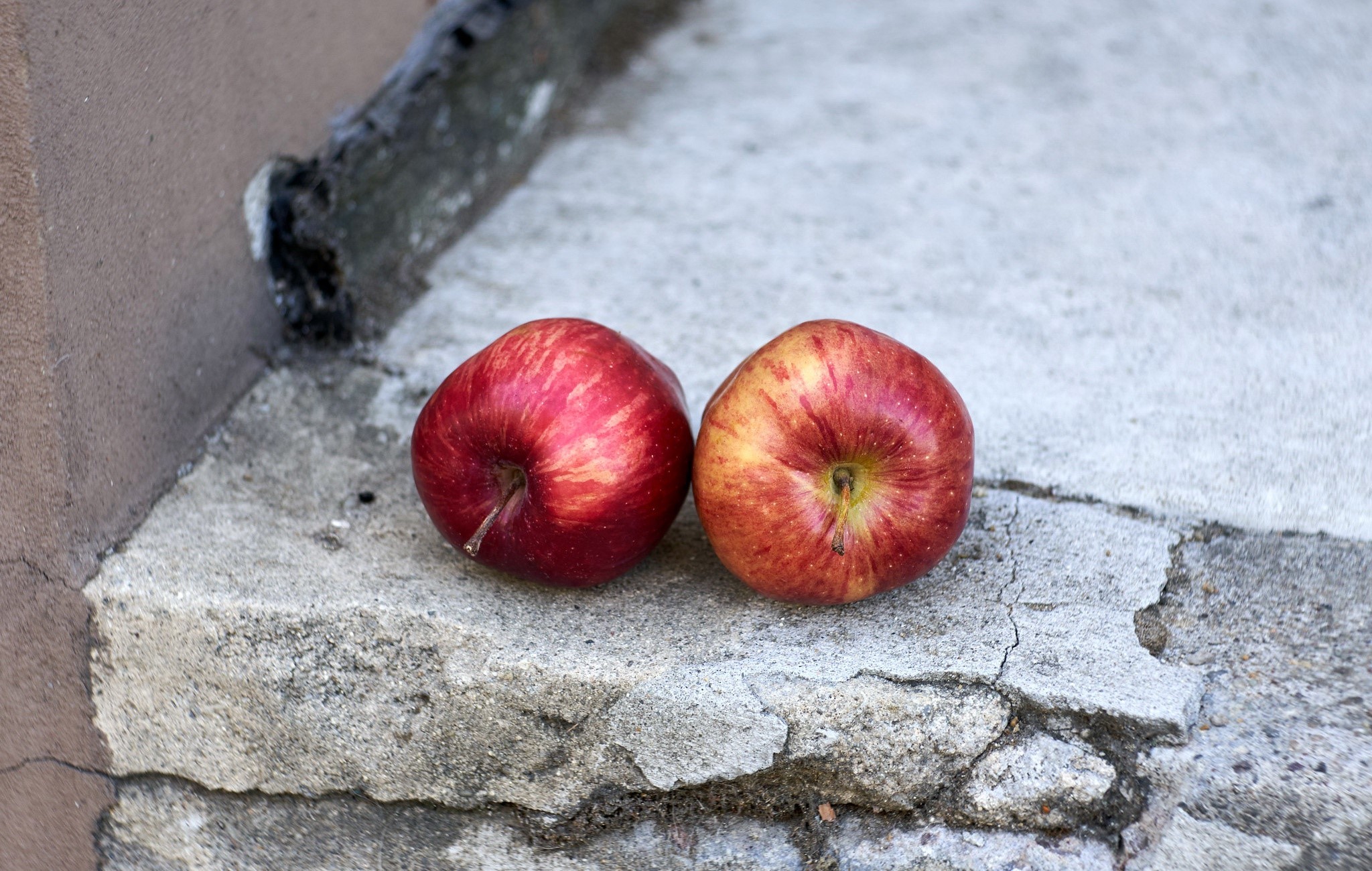 Two red apples on a concrete step HD Wallpaper