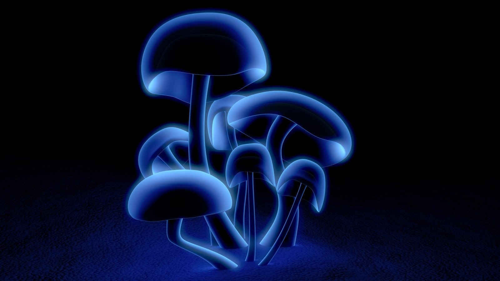Blue glowing mushrooms by Ryan Bliss HD Wallpaper