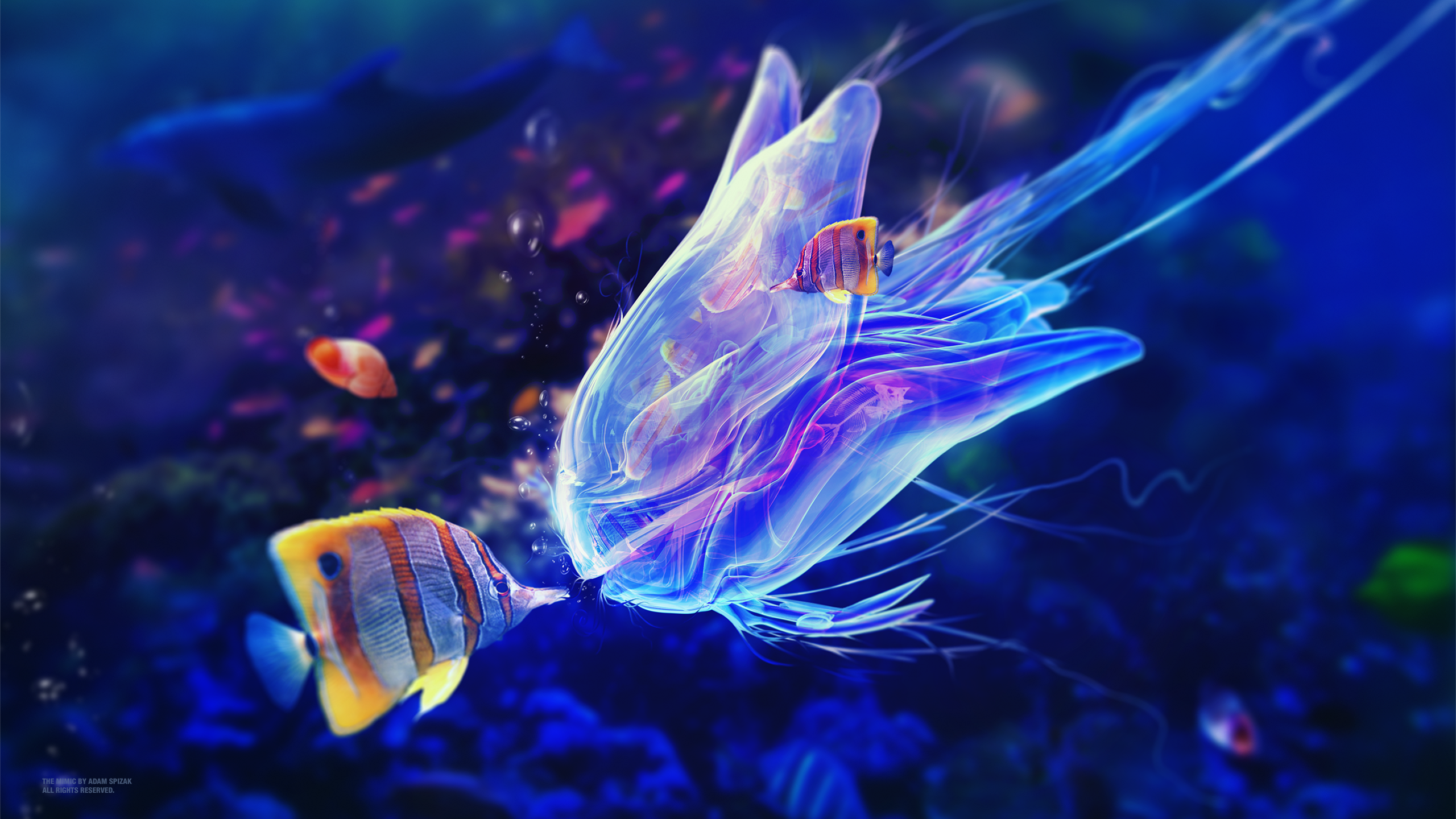 Artwork by Adam Spizak: Jellyfish and Fish HD Wallpaper