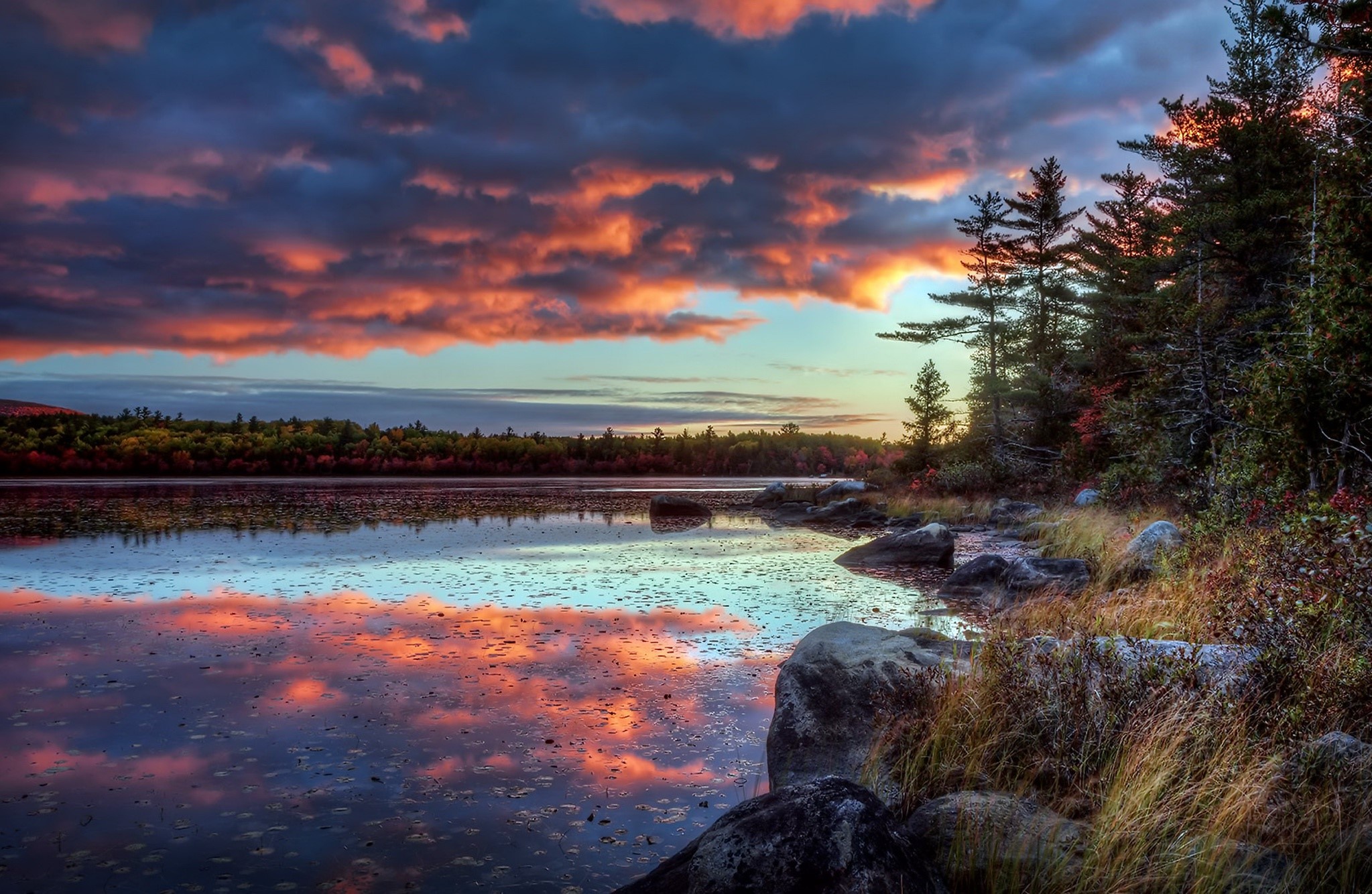 Sunset over a calm lake with colorful clouds and trees HD Wallpaper