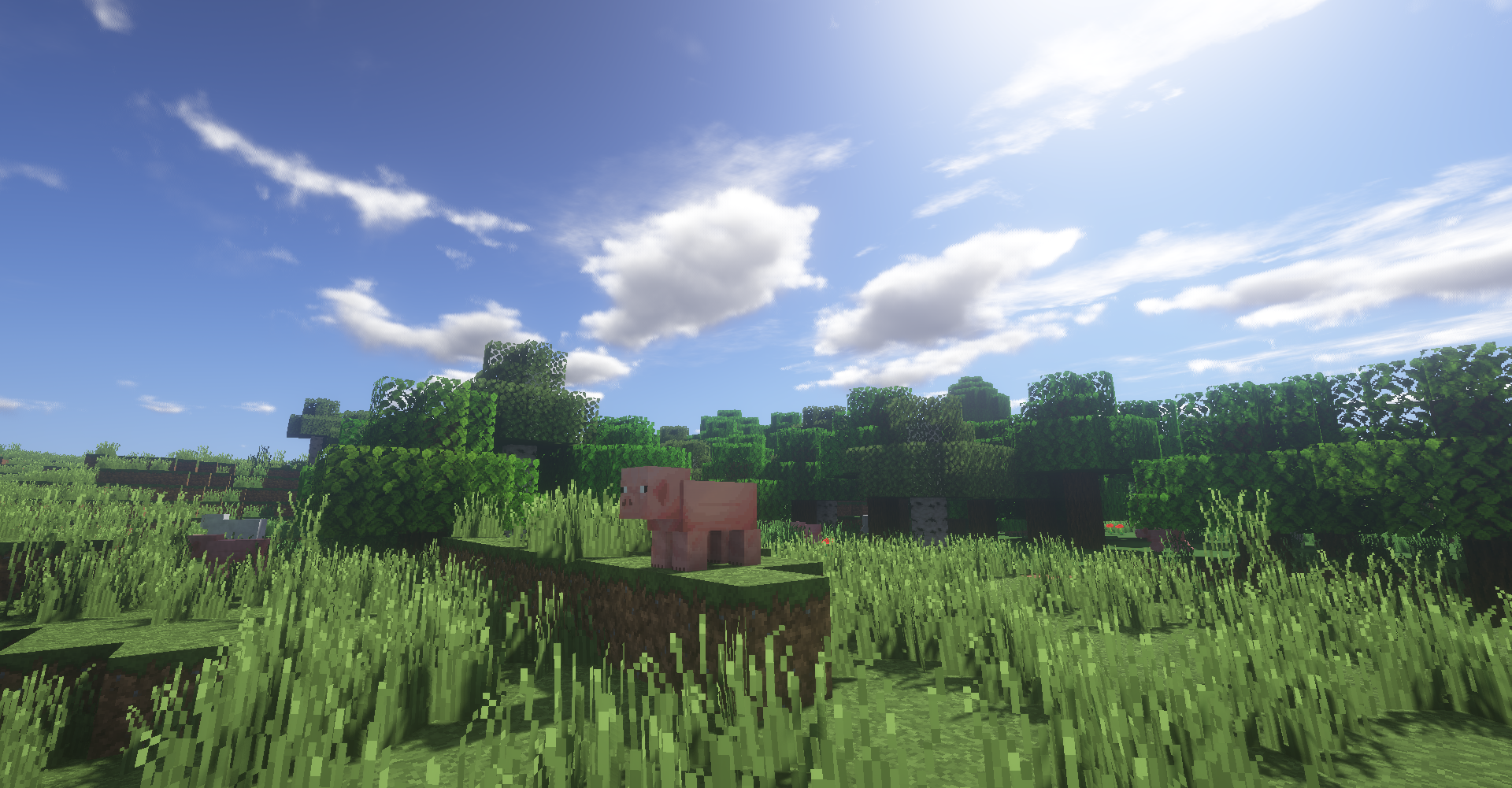 Minecraft screenshot of a pig in a grassy field HD Wallpaper