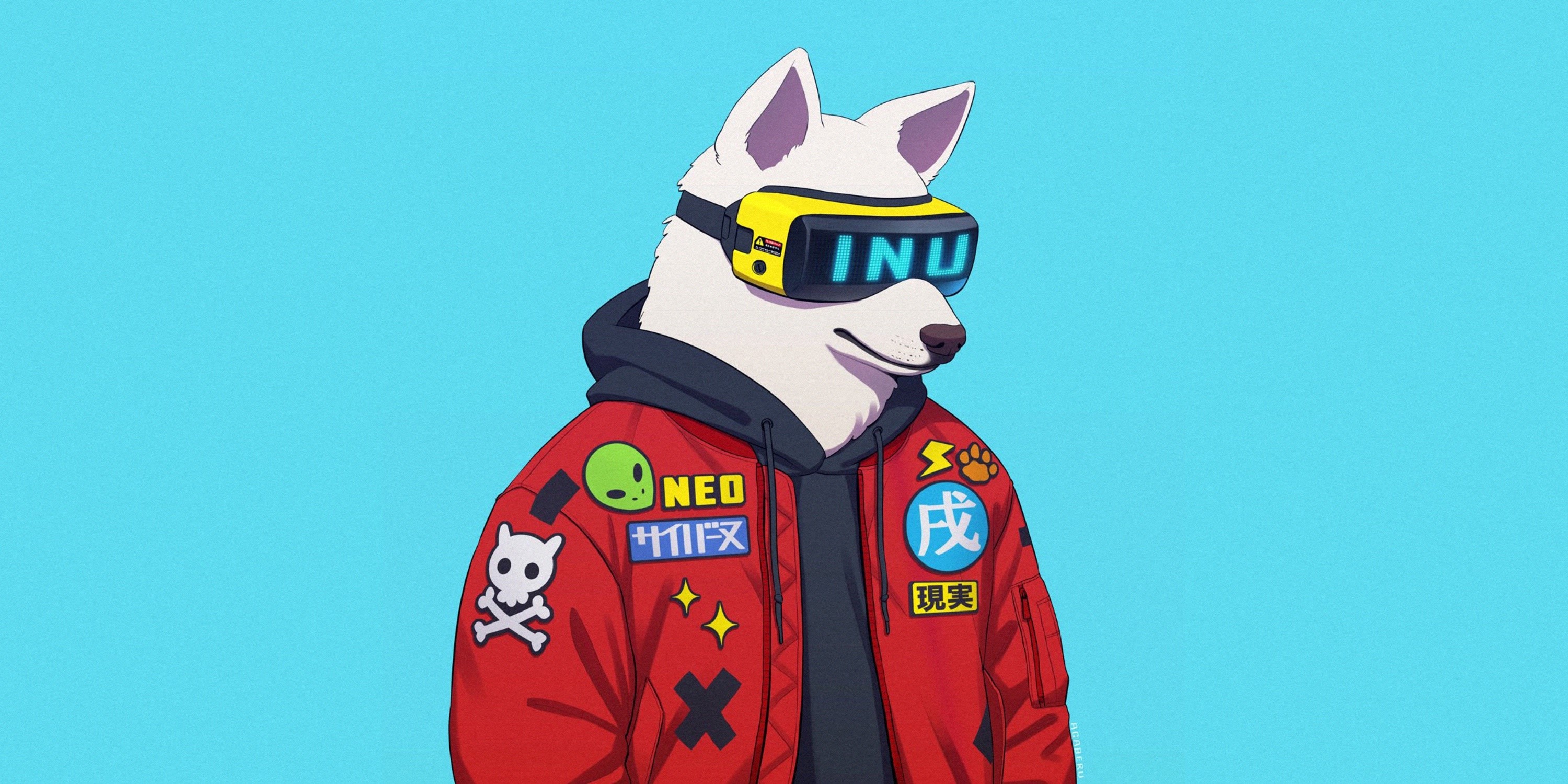 Shiba Inu wearing VR goggles and a red jacket HD Wallpaper