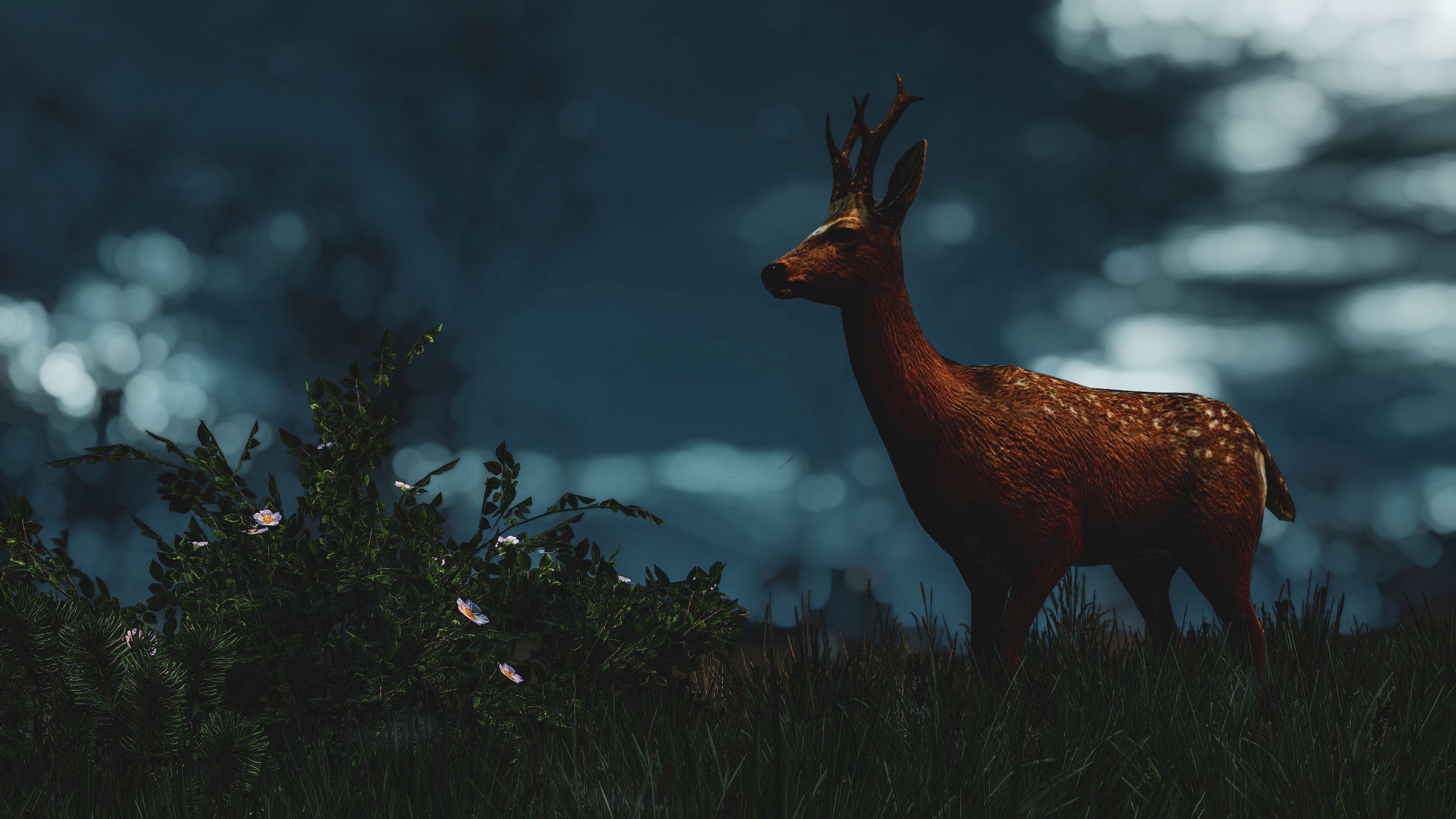 Deer in The Witcher 3: Wild Hunt HD Wallpaper