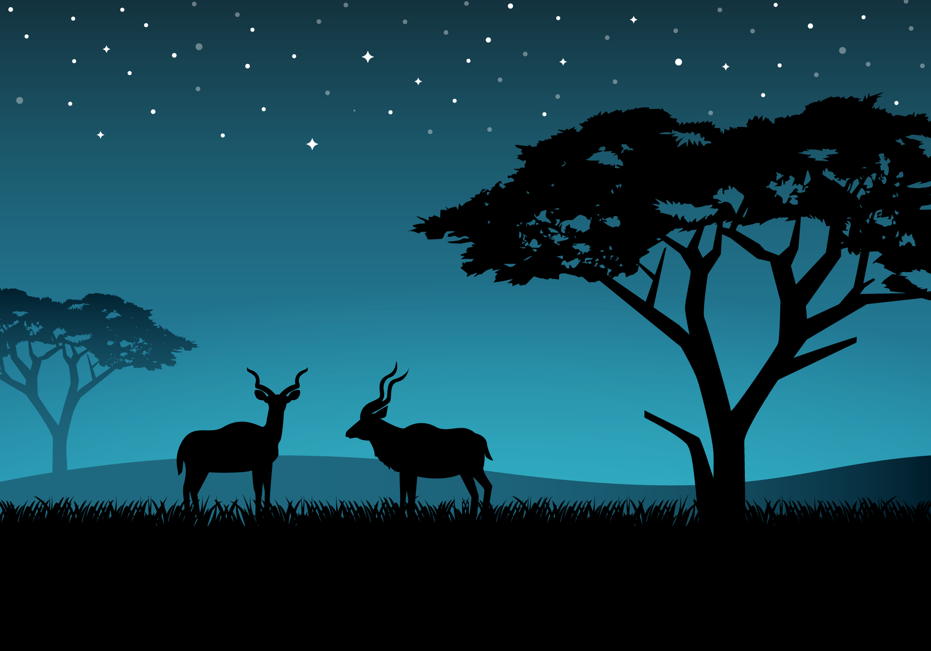 Two antelopes in a savanna at night under stars HD Wallpaper