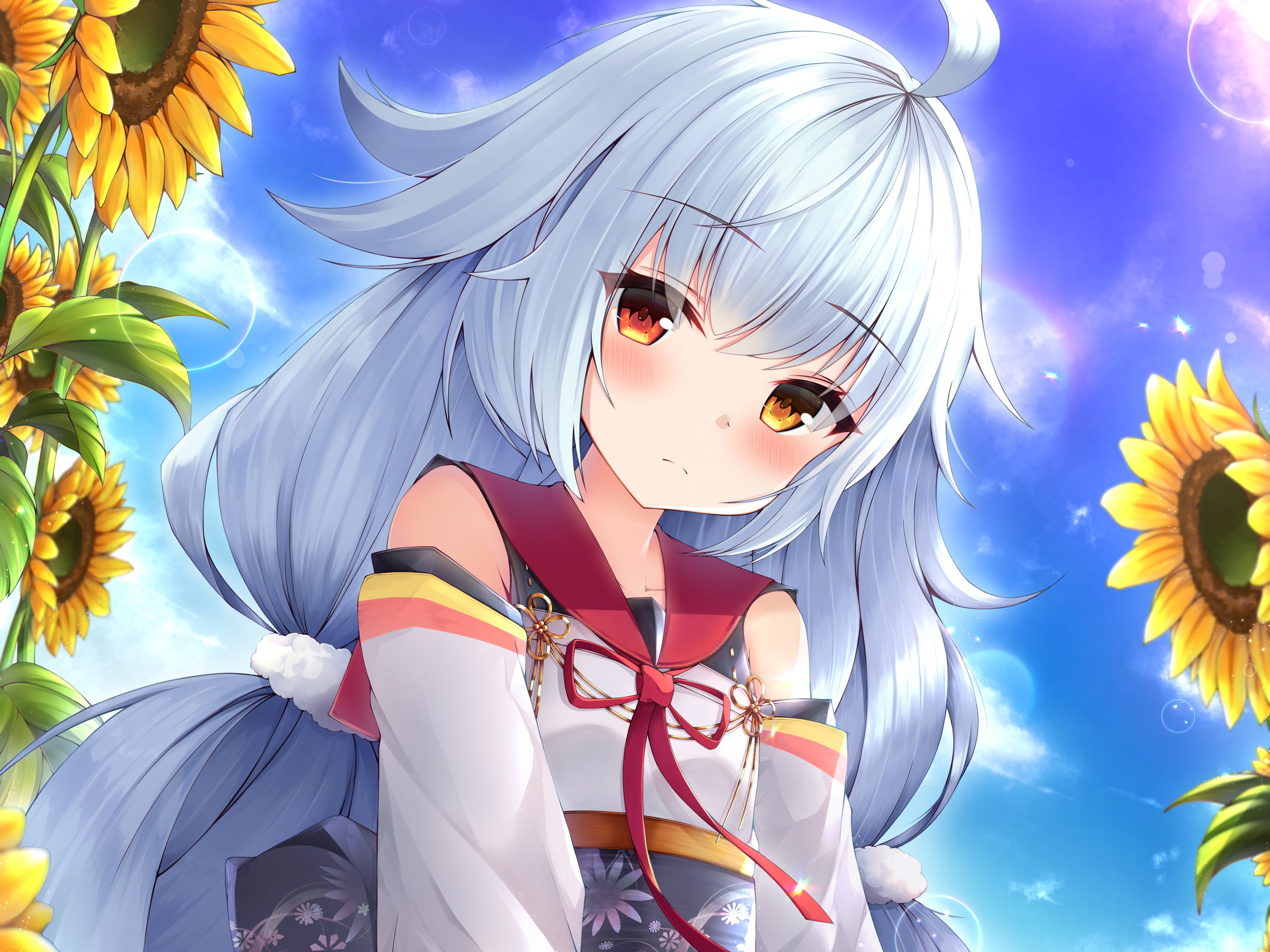 Nicholas from Azur Lane with sunflowers HD Wallpaper