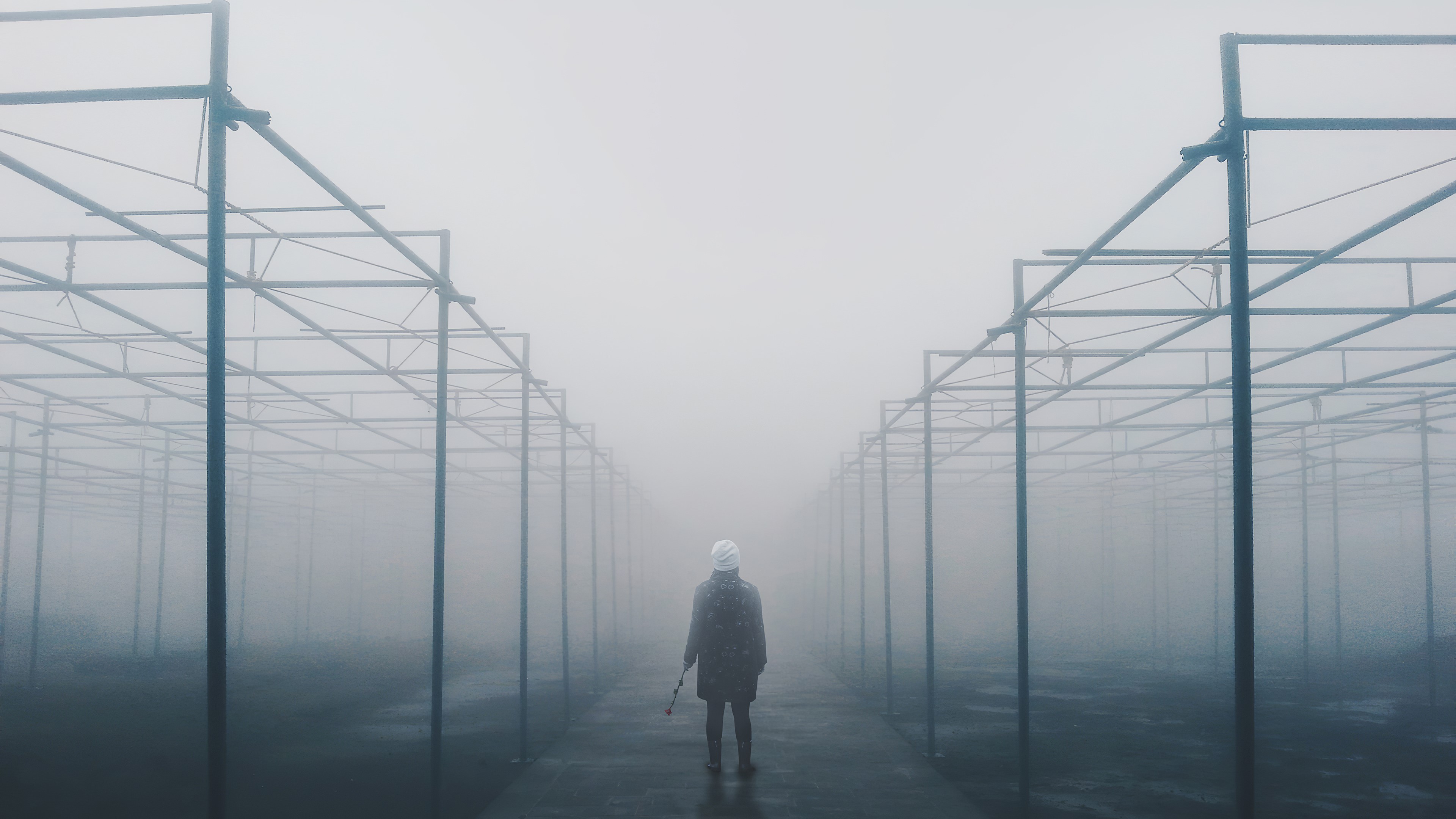 Person standing in a foggy greenhouse structure HD Wallpaper