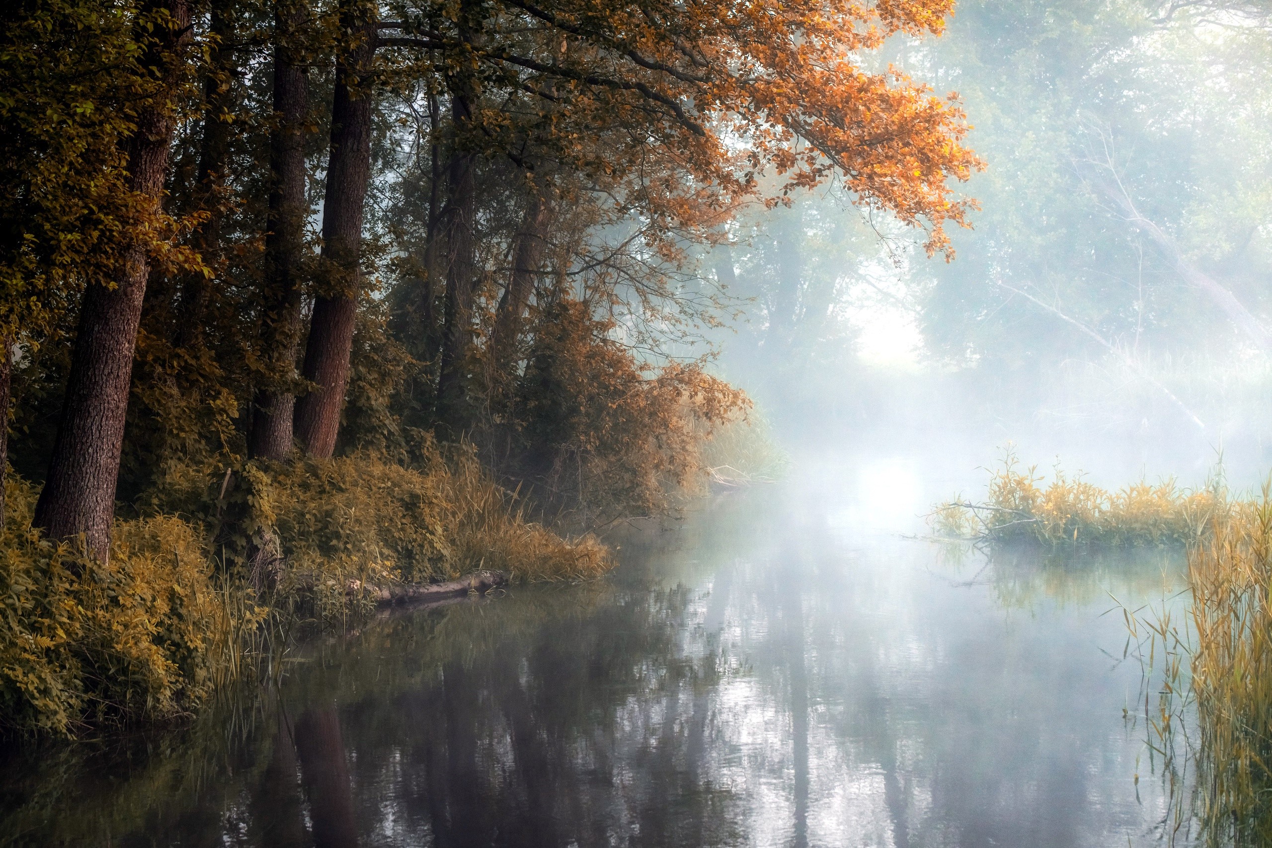 Misty riverbank with autumn trees and reflections HD Wallpaper
