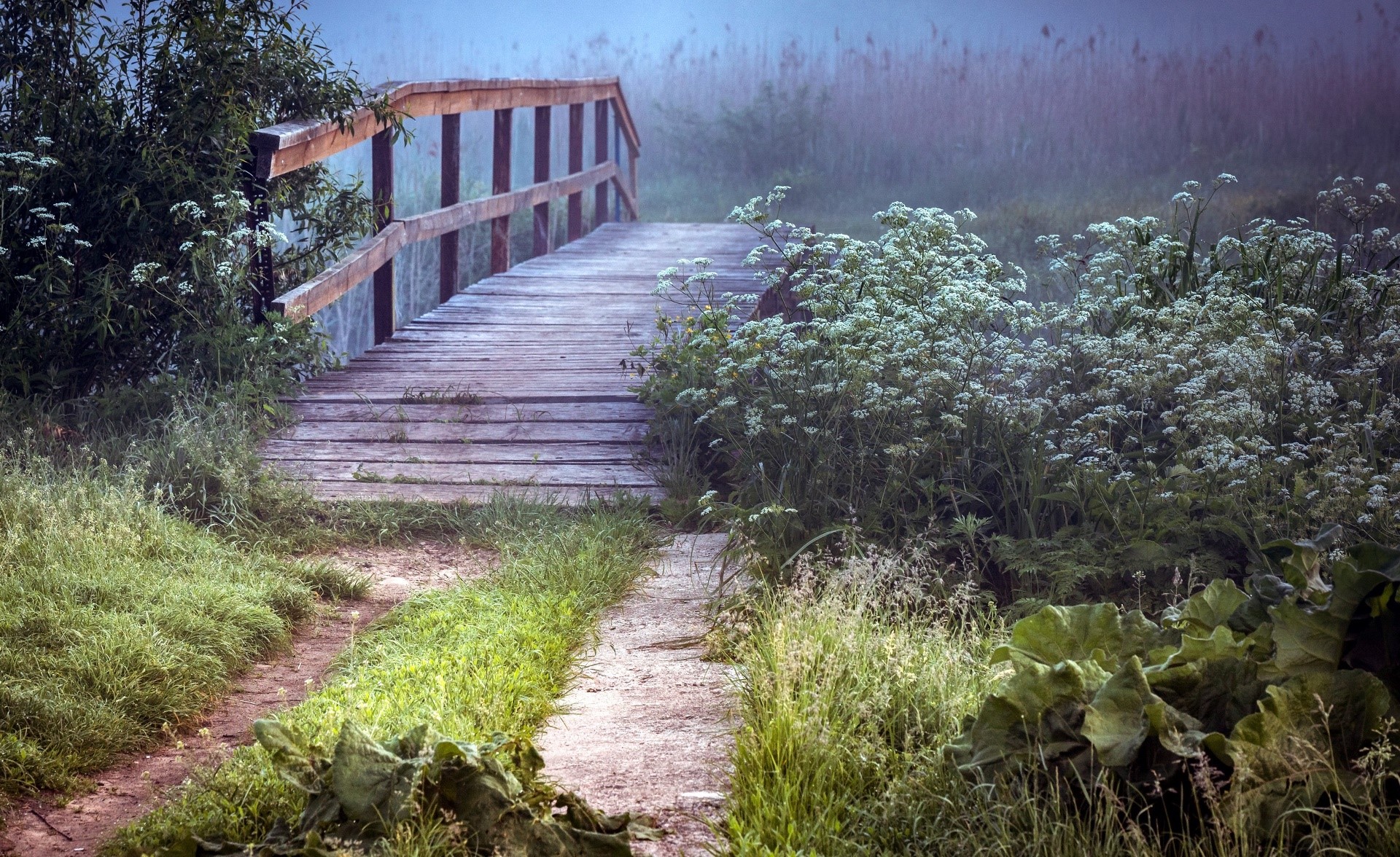 Wooden bridge over a path in a misty landscape HD Wallpaper