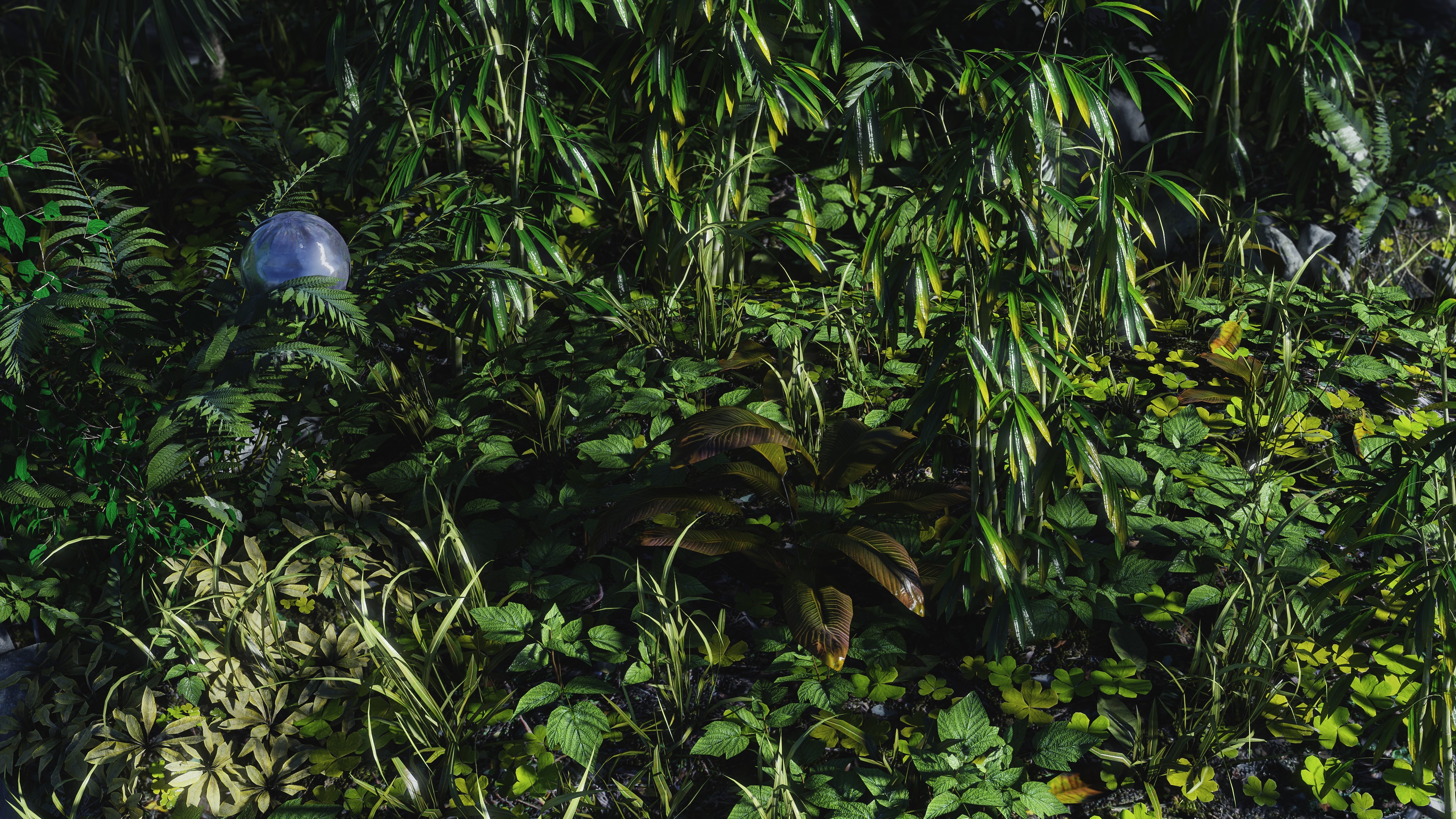 4K jungle with plants and a blue ball HD Wallpaper