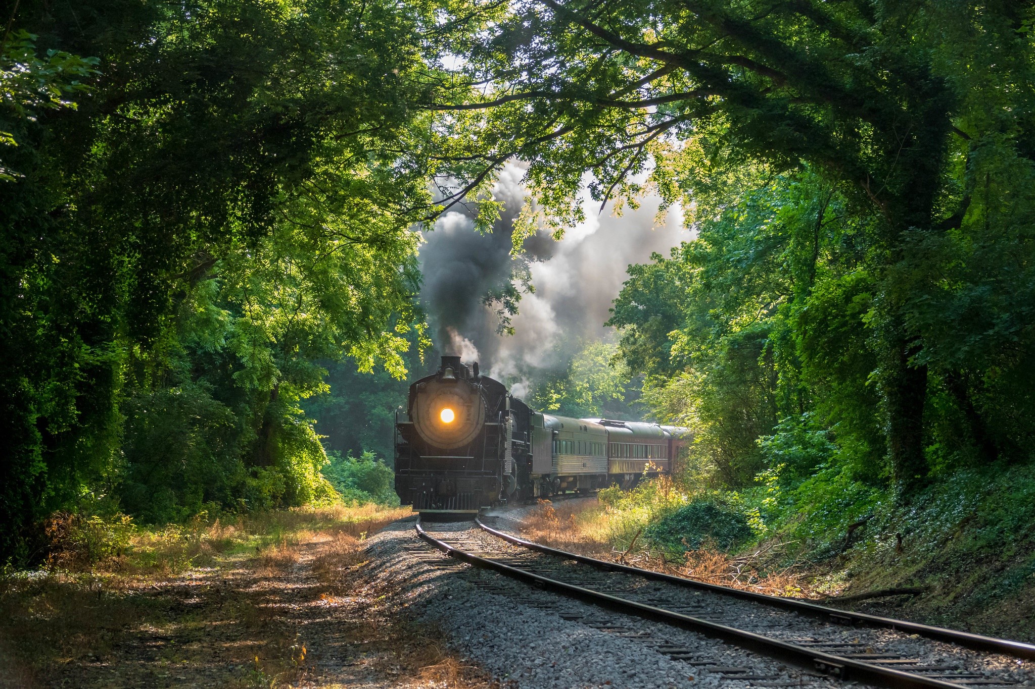 Steam train traveling through a tree-lined railway in Tennessee HD Wallpaper