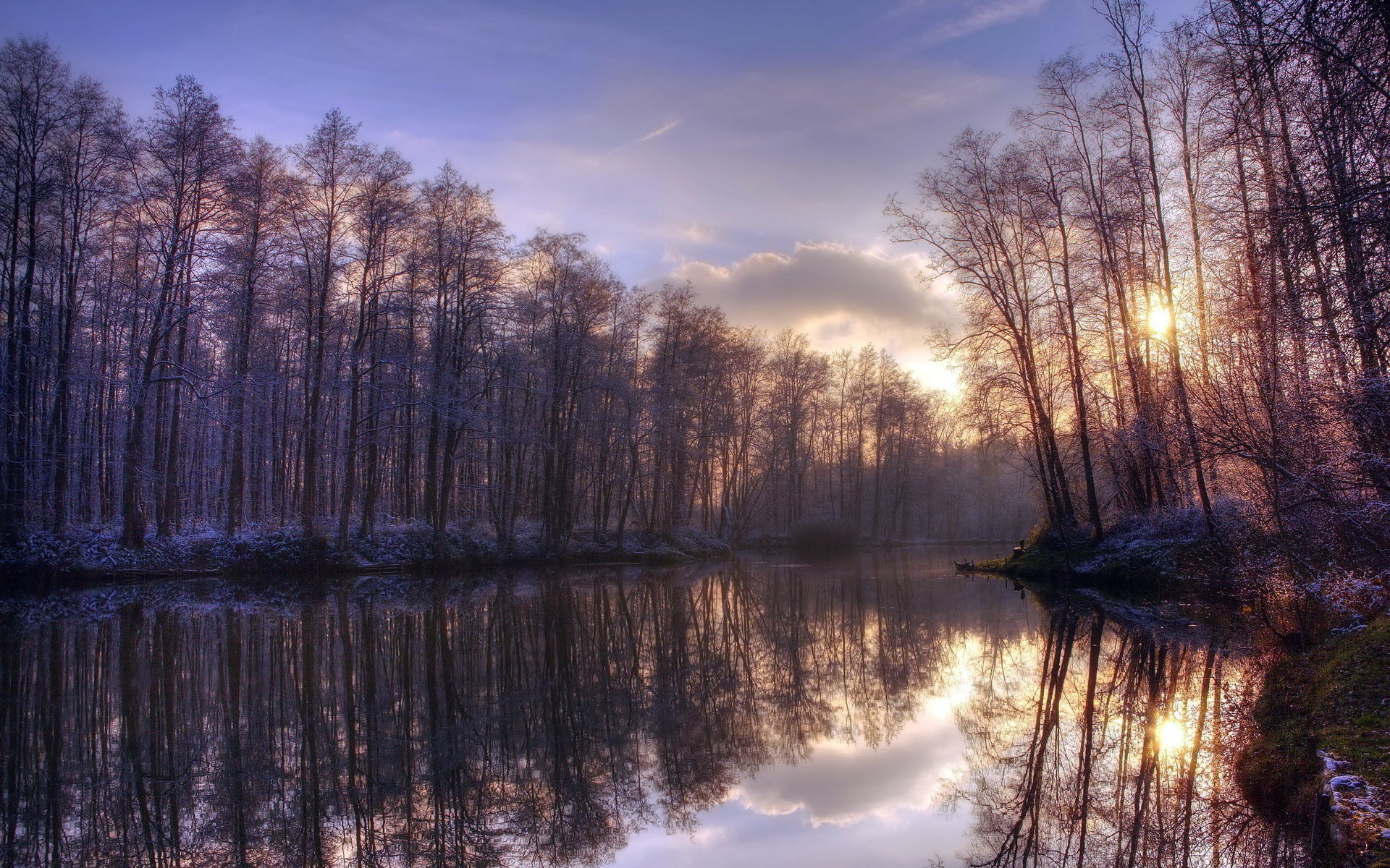 Bare trees reflected in a calm river at sunset HD Wallpaper
