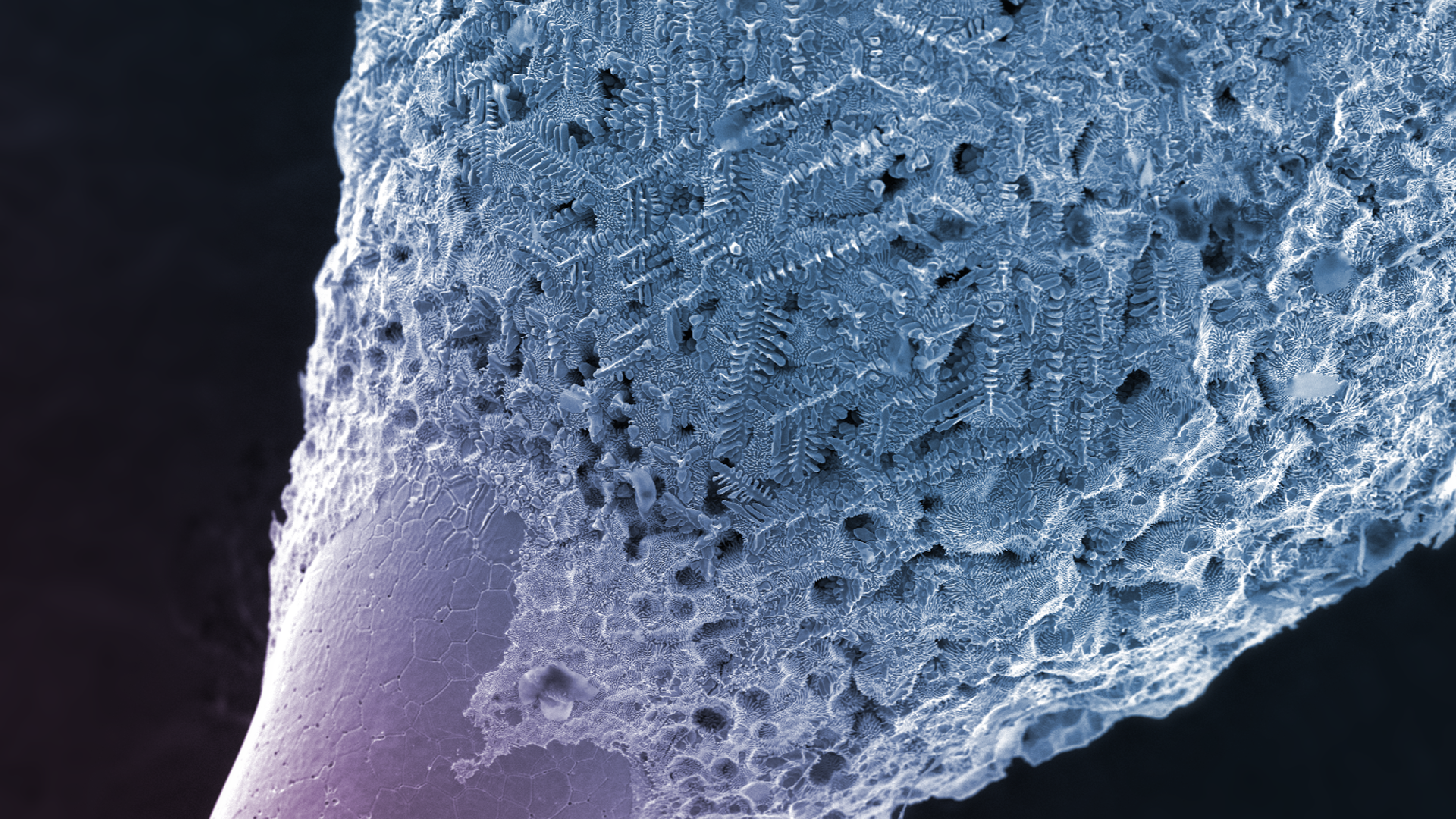 Microscopic view of crystalline structures HD Wallpaper