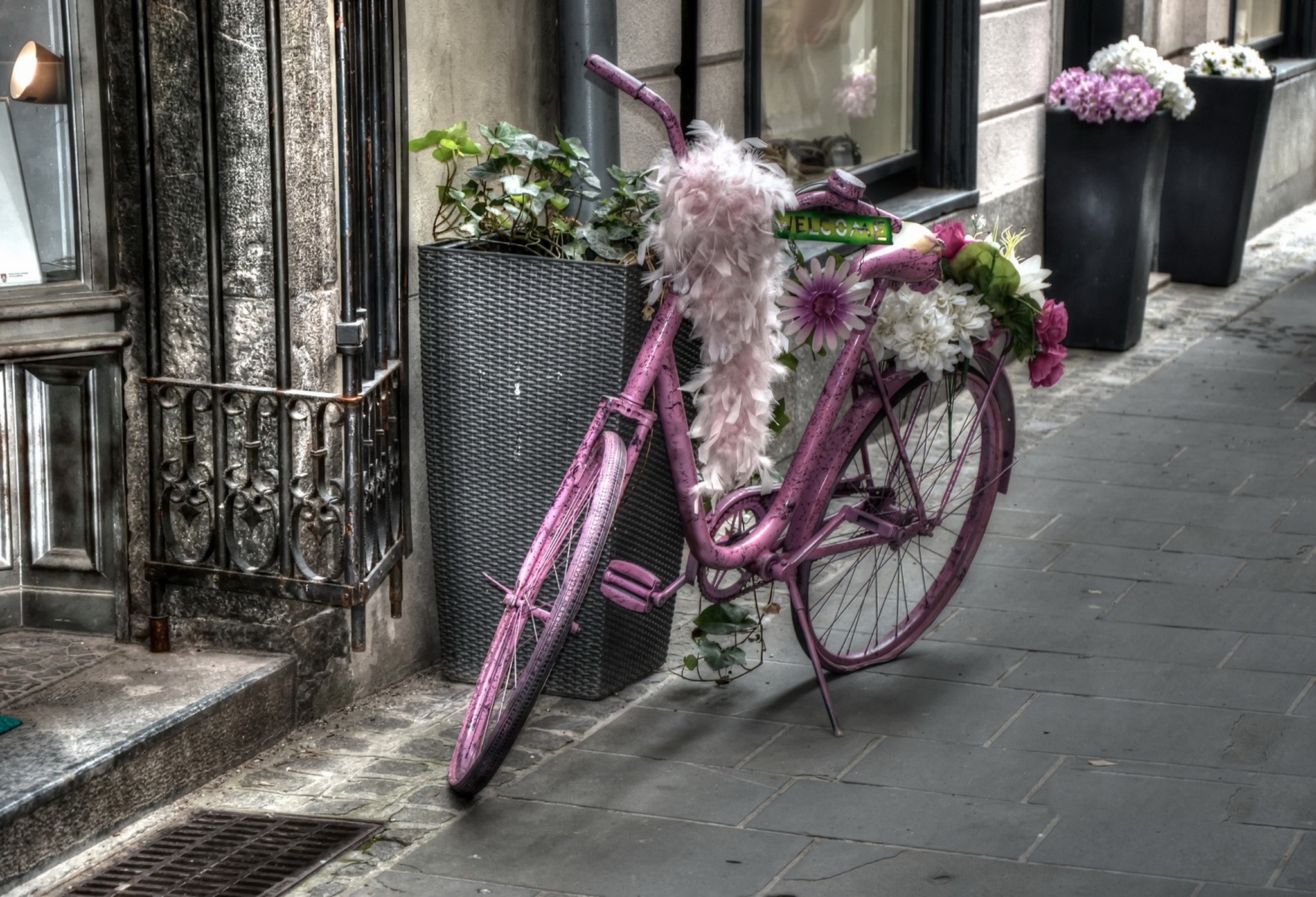 Pink bicycle decorated with flowers and feathers HD Wallpaper