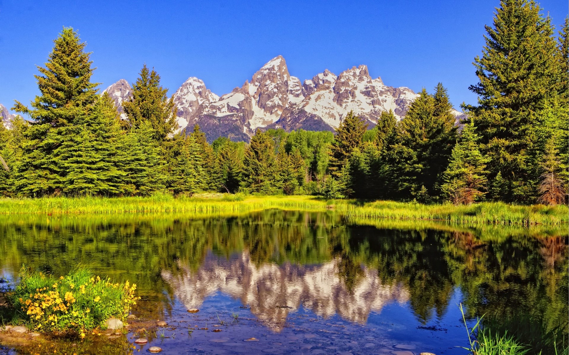 Grand Teton National Park with Reflection HD Wallpaper