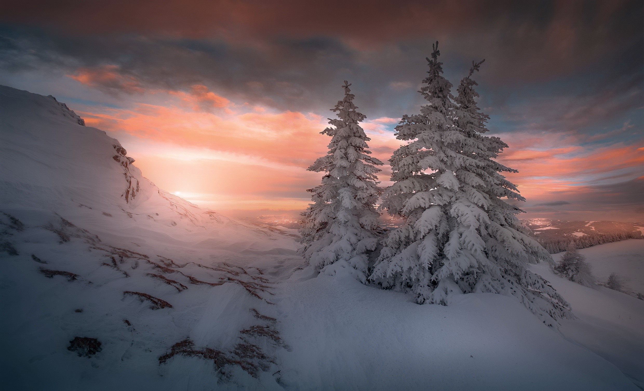 Snow-covered trees on a mountain at sunset HD Wallpaper