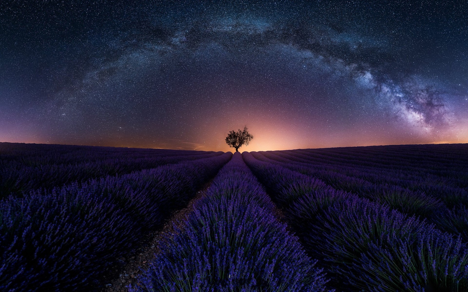 Lavender field under the Milky Way in France HD Wallpaper