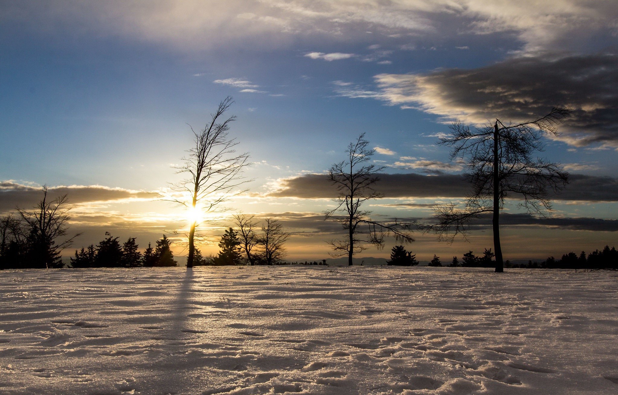 Winter sunset with snow-covered field and silhouetted trees HD Wallpaper