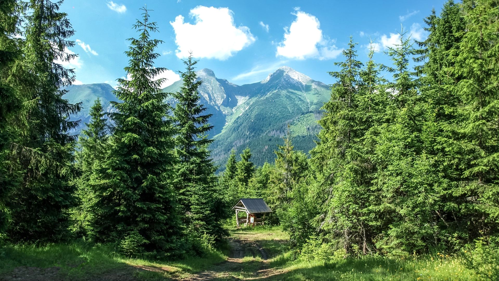 Mountains and forest with a small shelter HD Wallpaper