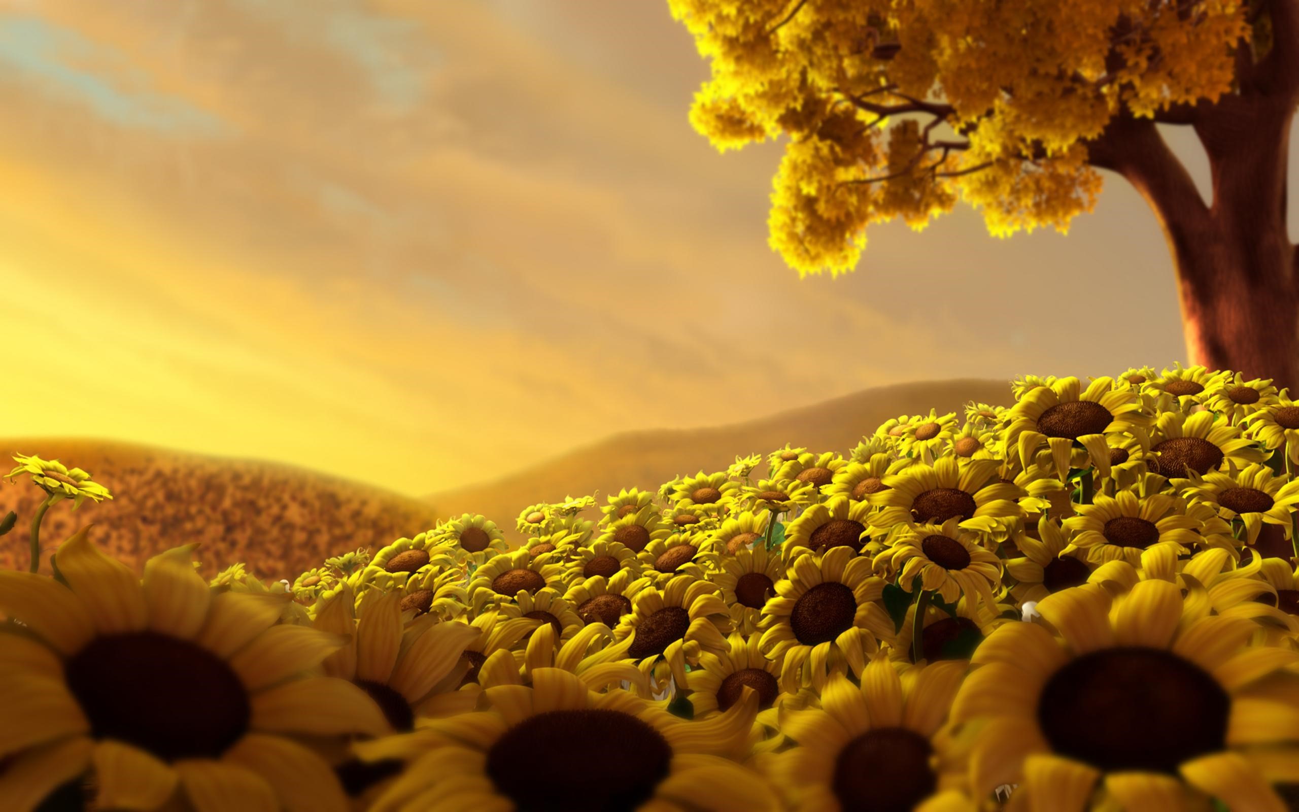 Field of sunflowers under a golden sky with a tree HD Wallpaper