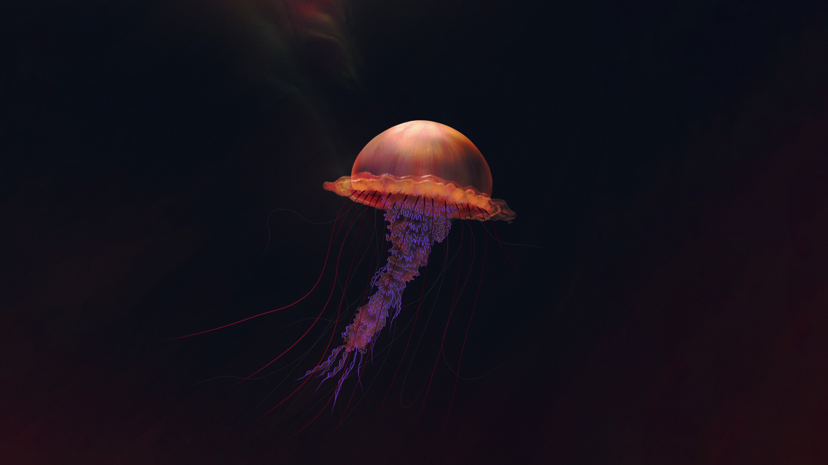 Illustration of a glowing jellyfish with tentacles HD Wallpaper