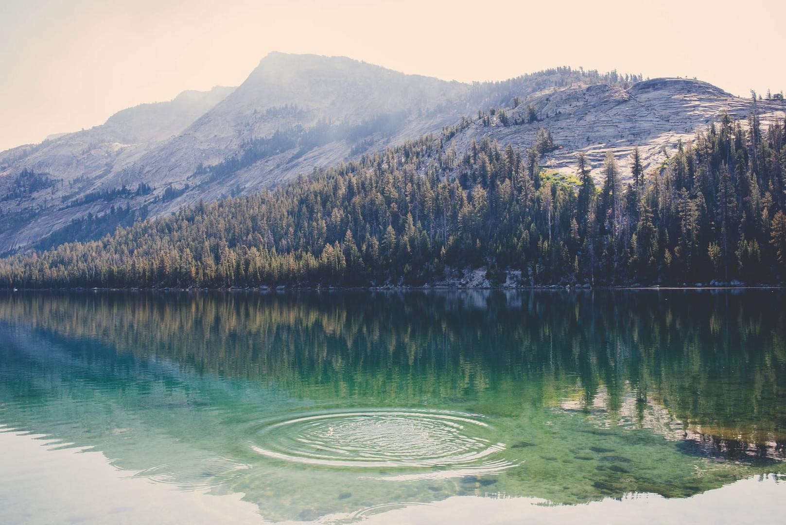 Lake with reflection of mountains and forest HD Wallpaper