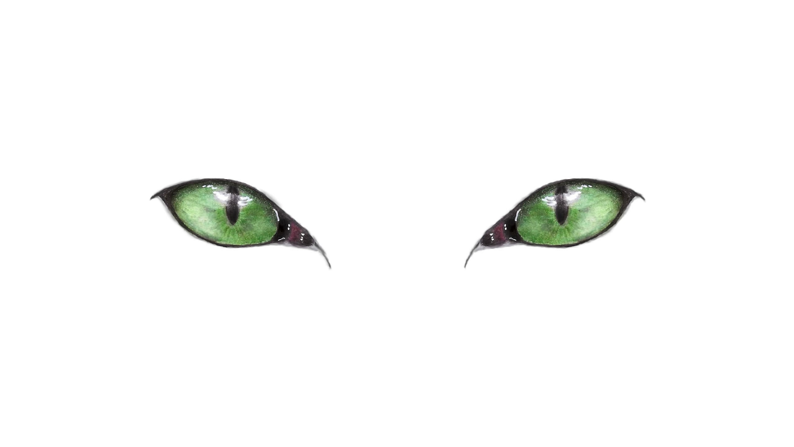 Drawing of two green cat eyes on a white background HD Wallpaper