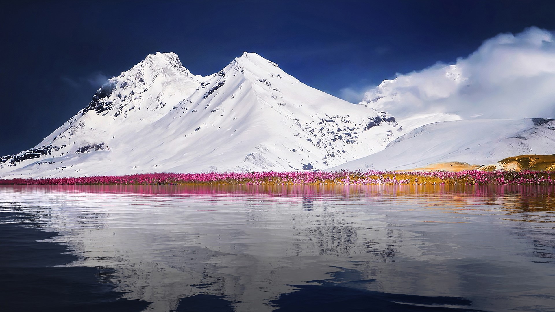 Snowy mountains reflected in water with pink flowers HD Wallpaper