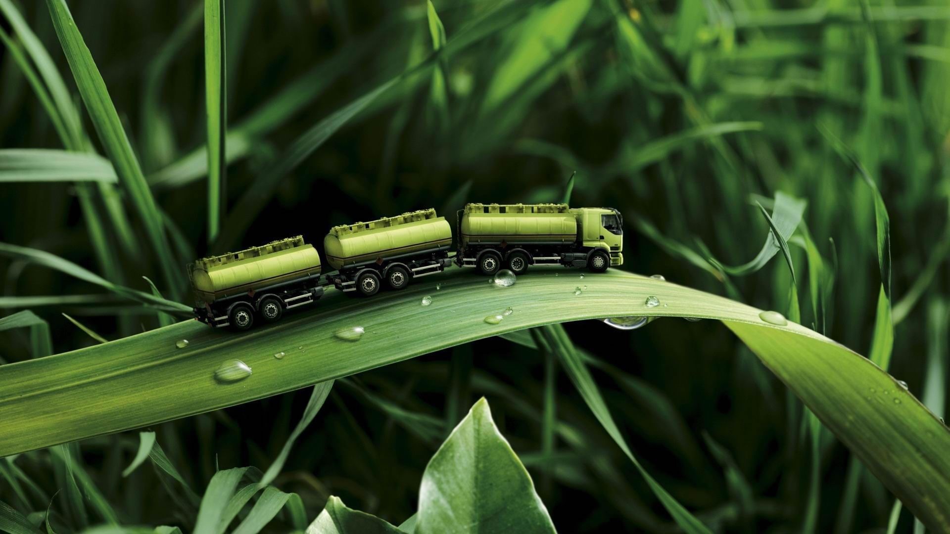 Toy tanker trucks on a blade of grass HD Wallpaper