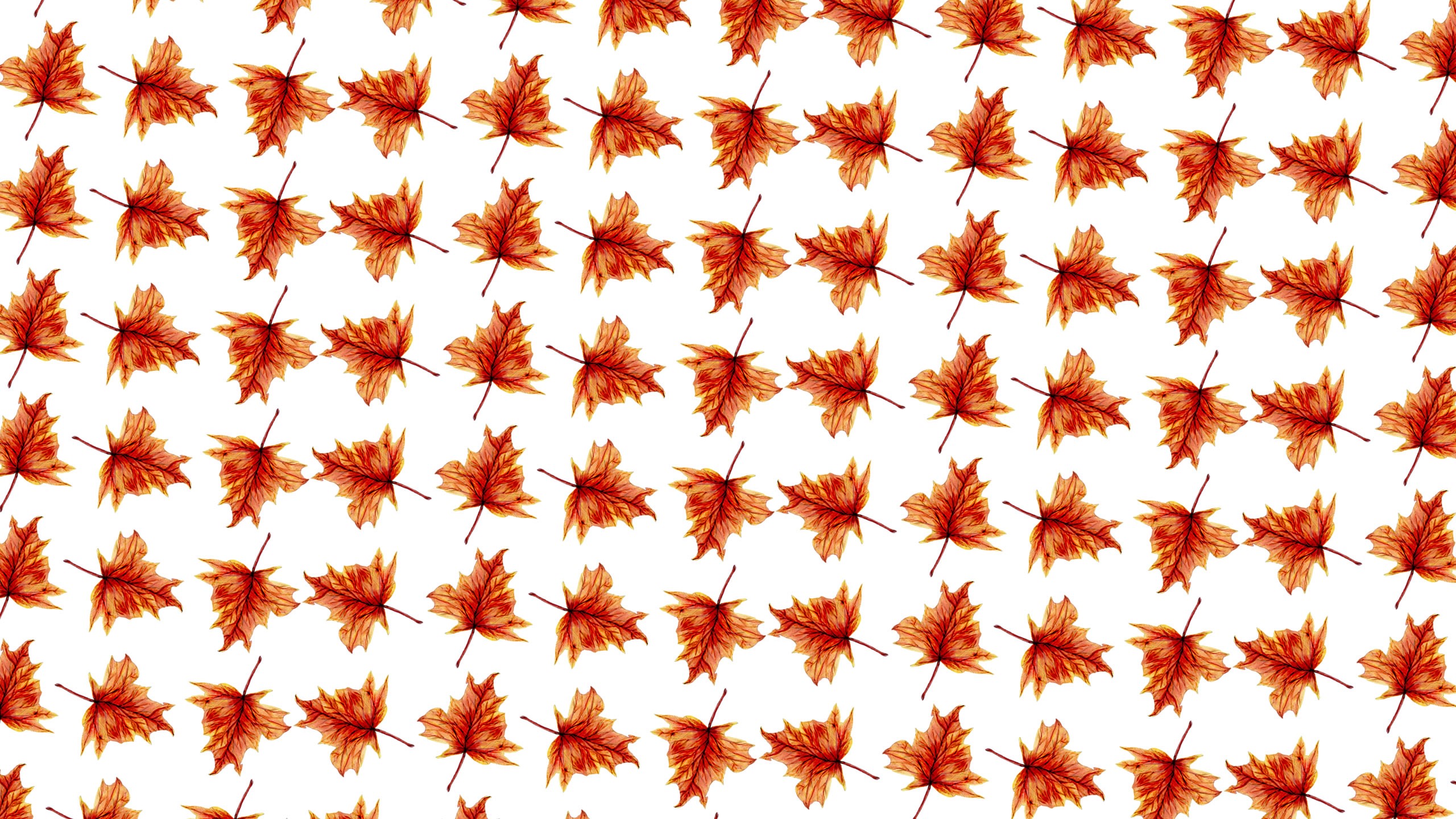 Autumn leaves pattern, traditional art HD Wallpaper