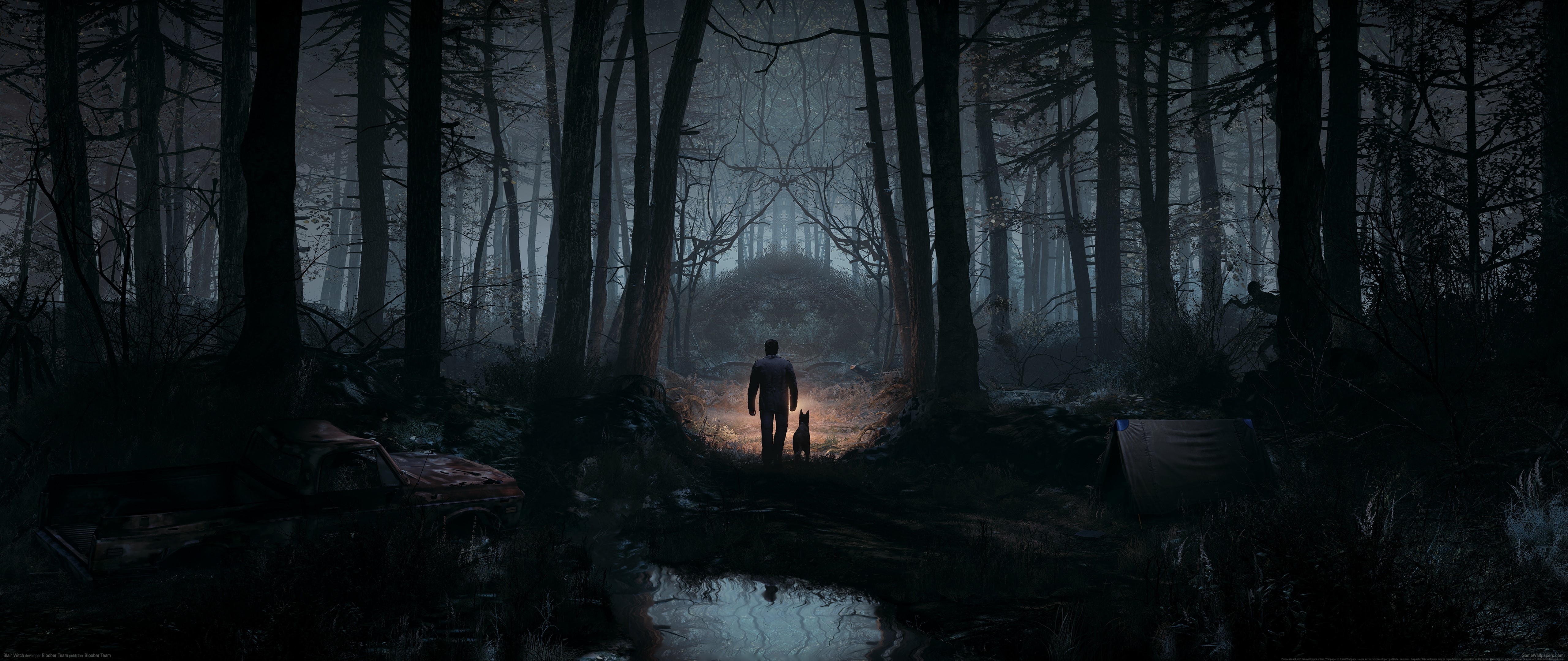 Man and dog in dark forest, Blair Witch HD Wallpaper