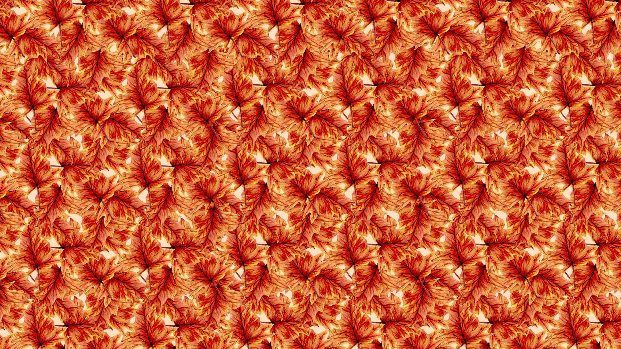 Seamless pattern of autumn maple leaves HD Wallpaper