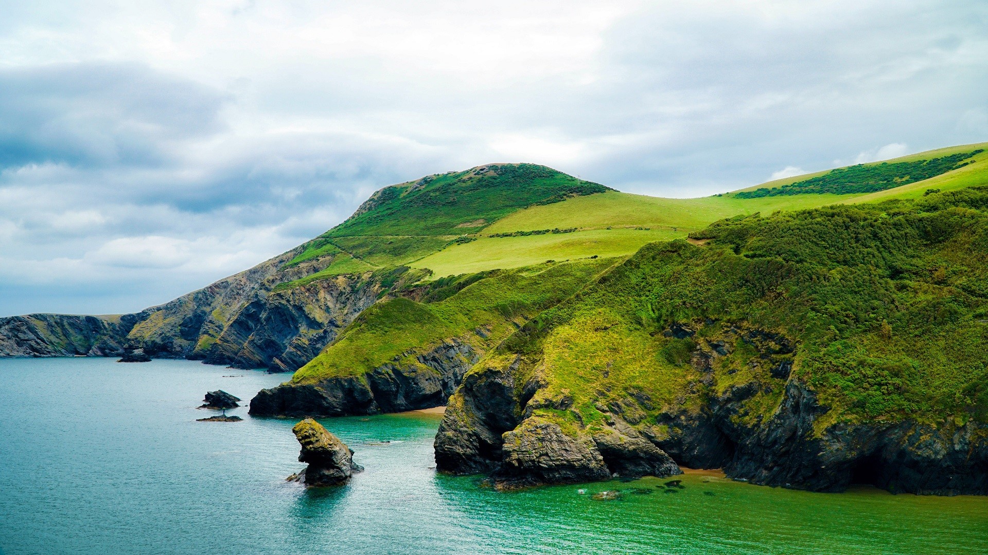 Green hills and rocky coastline meeting the sea HD Wallpaper